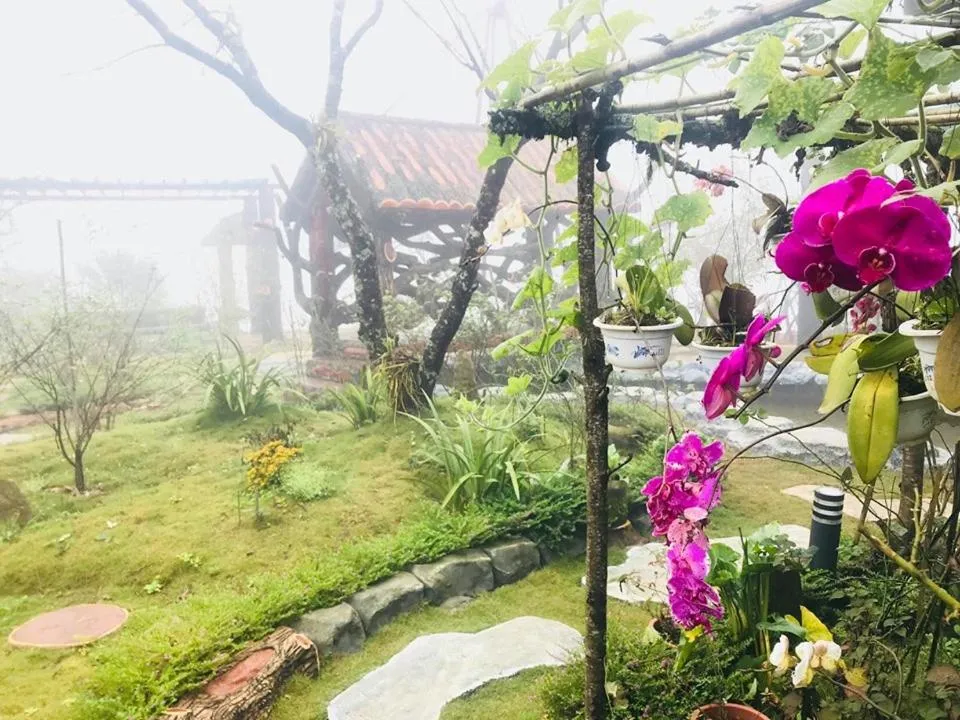 Homestay Discovery Sapa