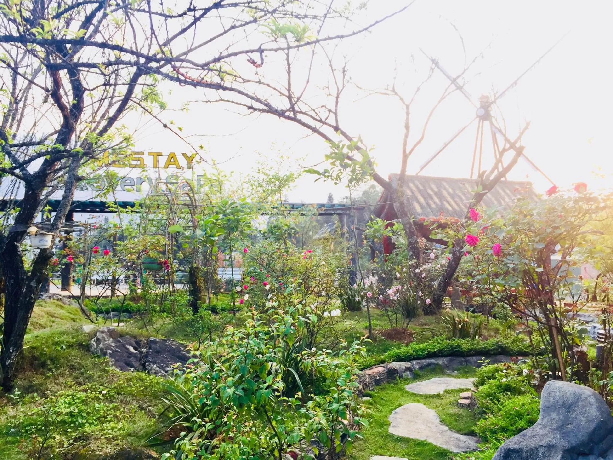 Homestay Discovery Sapa