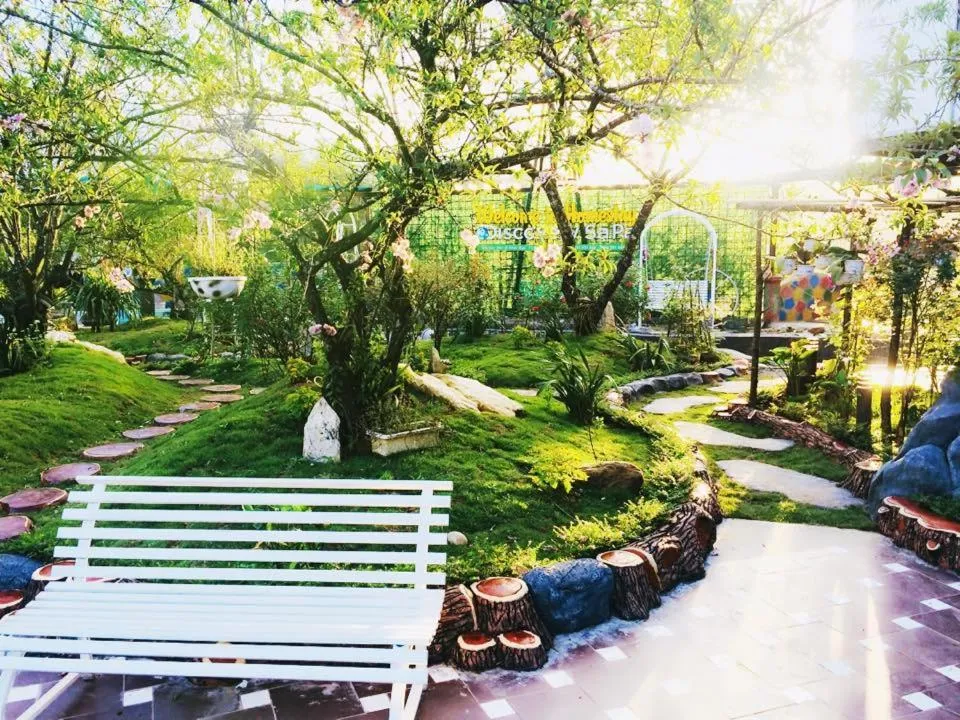 Homestay Discovery Sapa