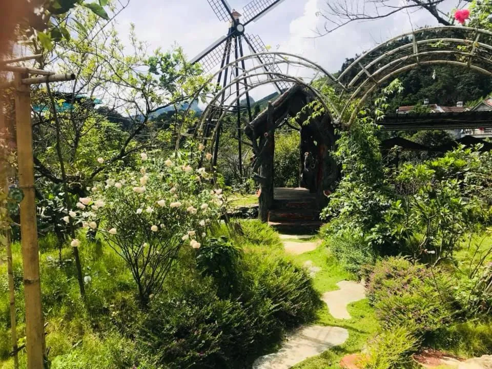 Homestay Discovery Sapa