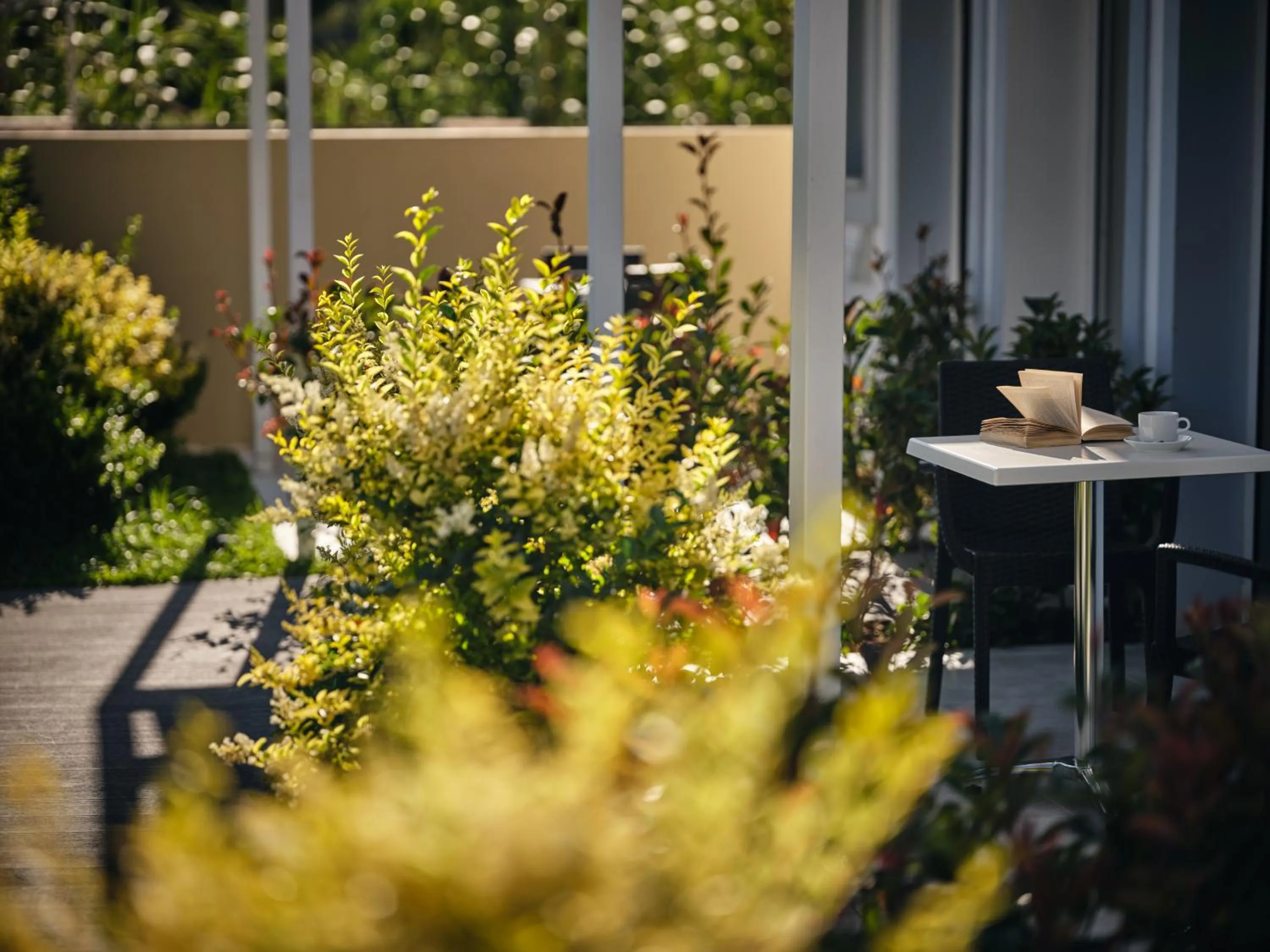 Patio in Cactus Hotel