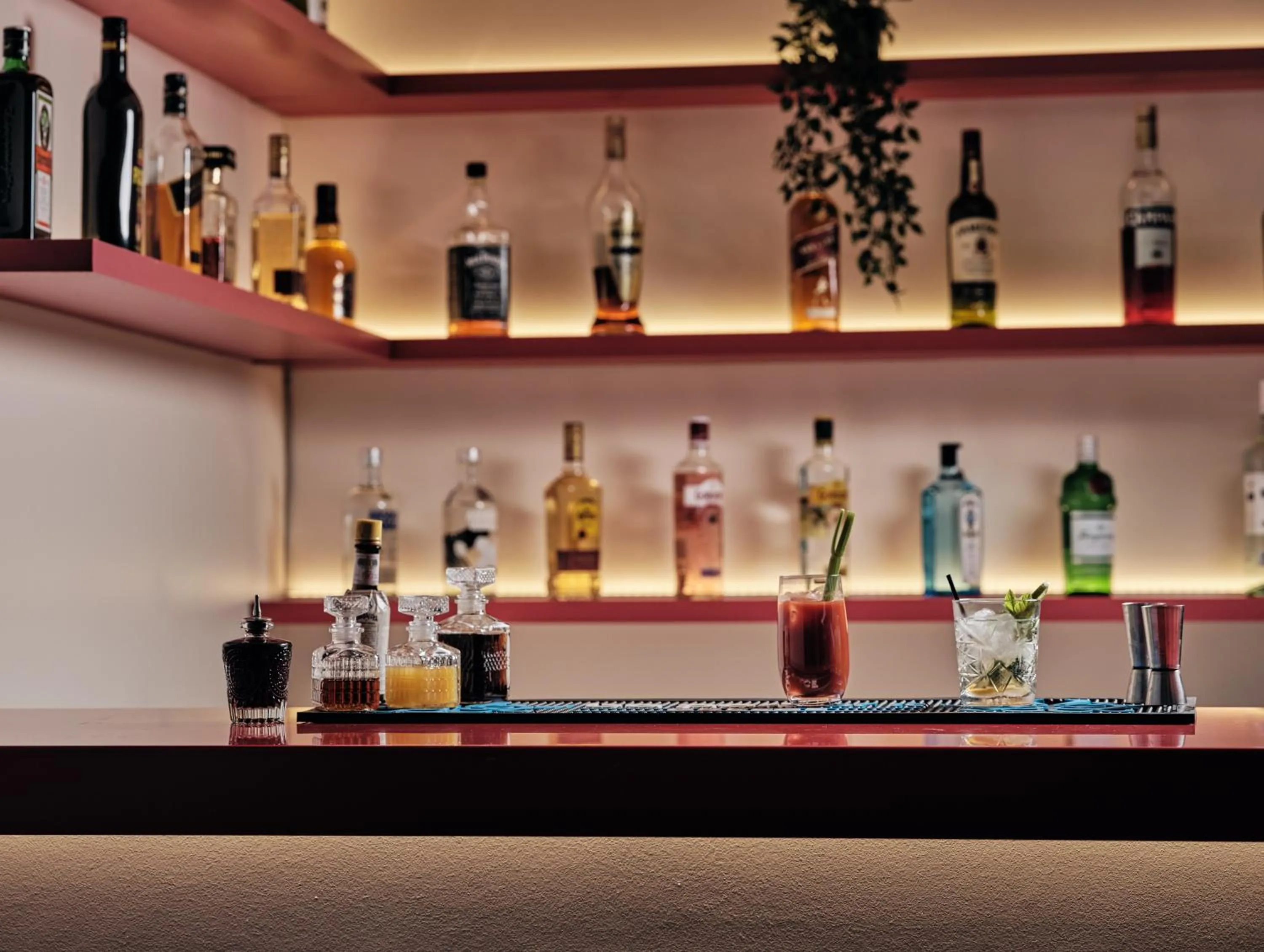 Lounge or bar in Cactus Hotel