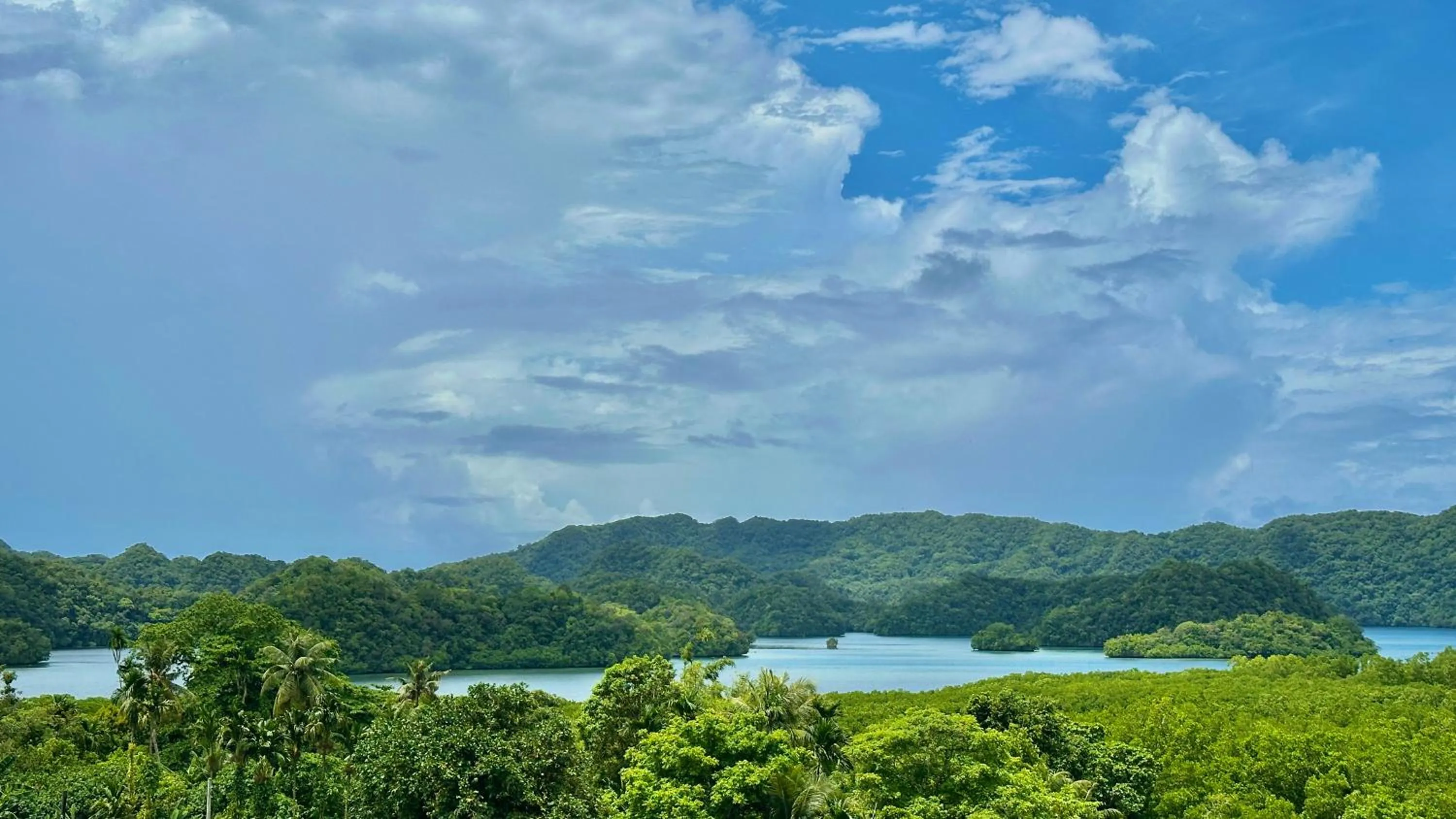 View (from property/room) in Palau Central Hotel