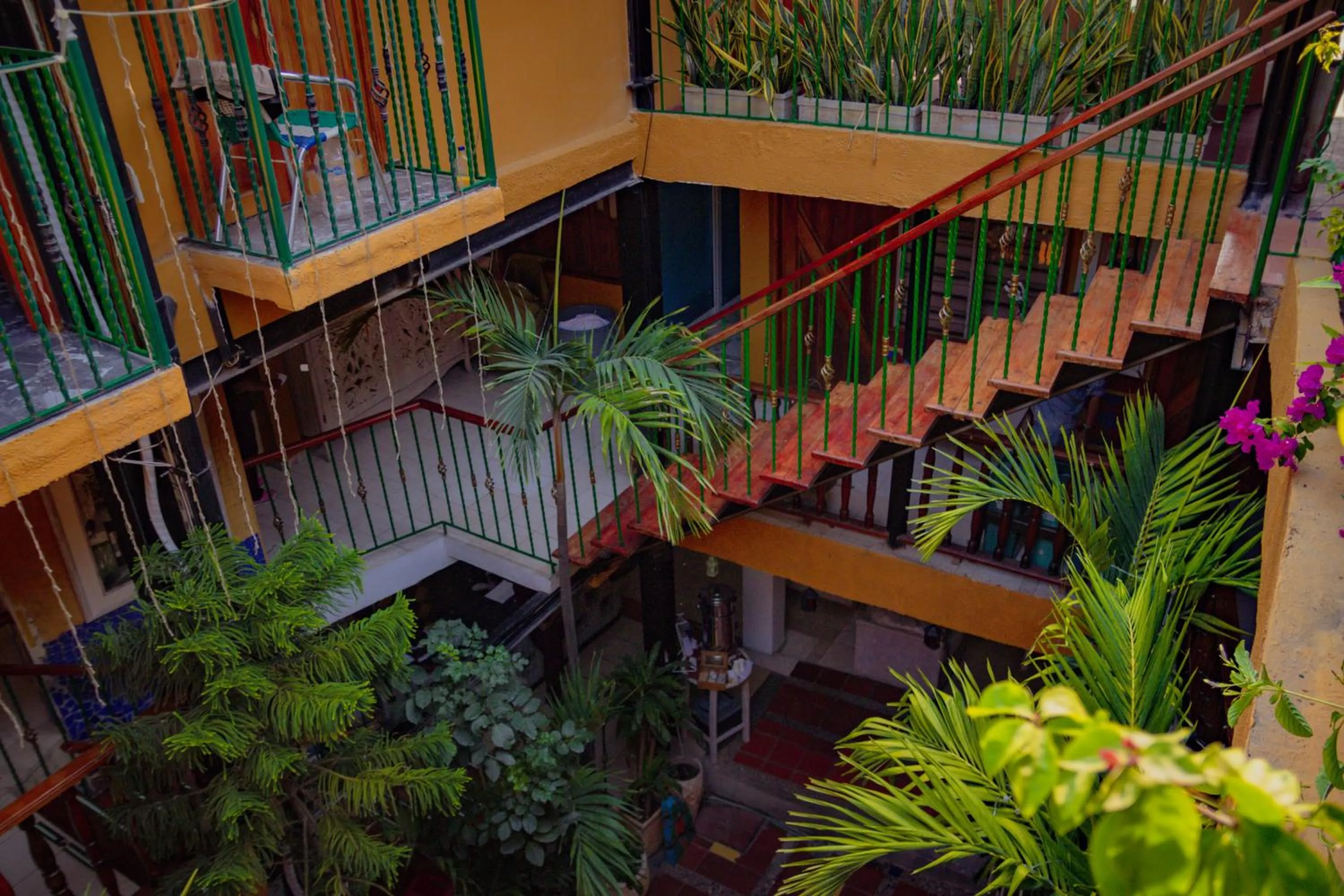 Garden in Hotel La Casona de Getsemani