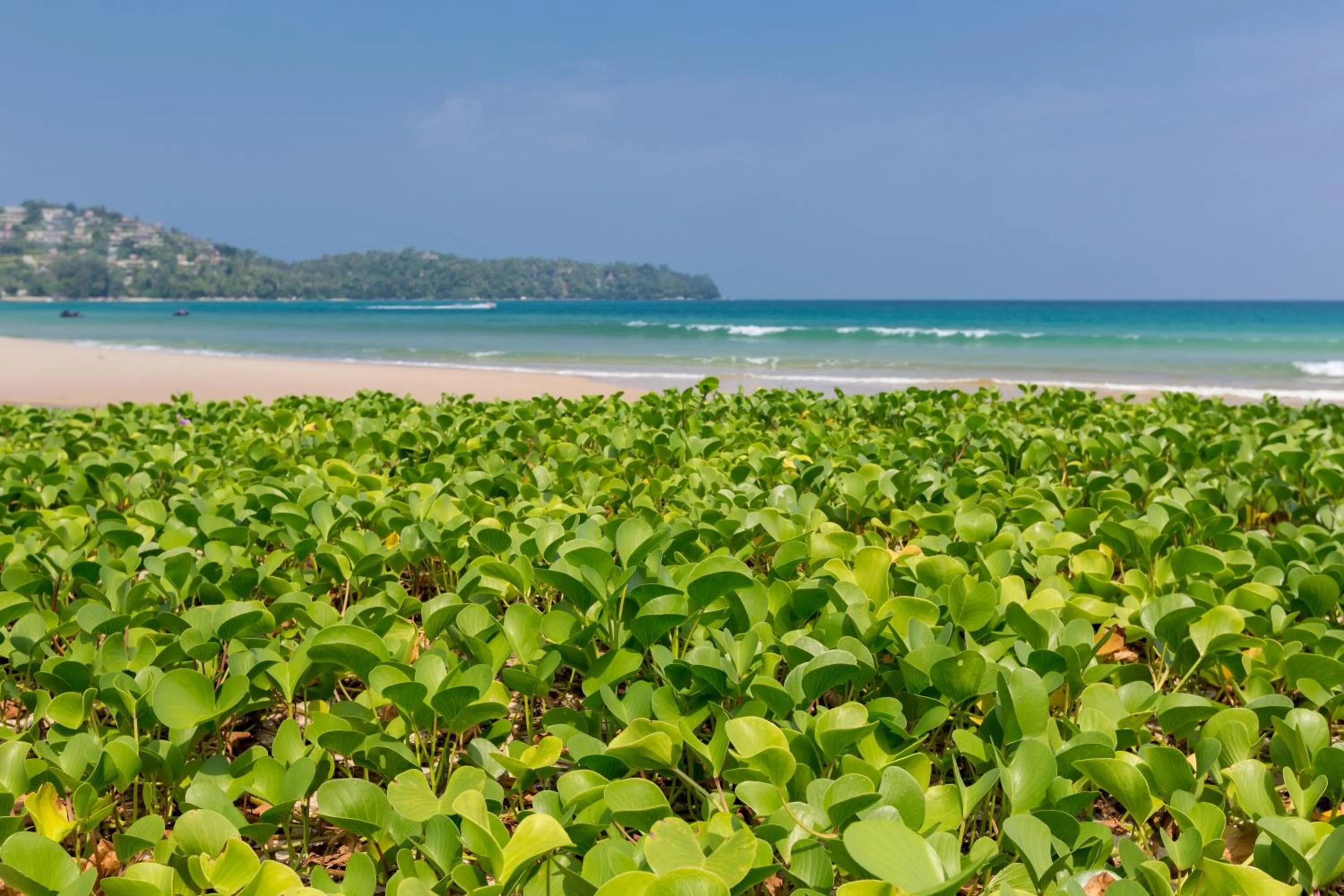 Natural landscape in Sunwing Bangtao Beach