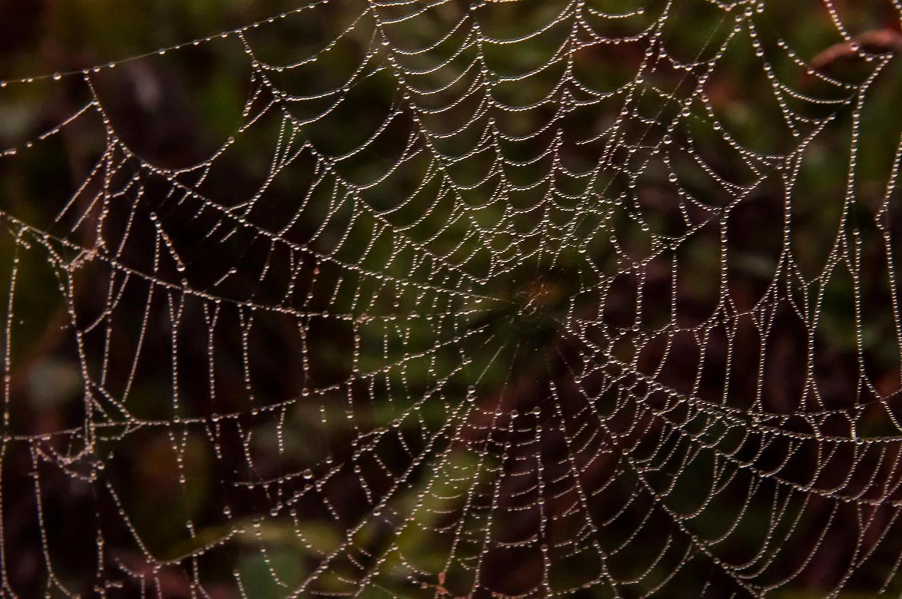 Off site in Pousada Marimar