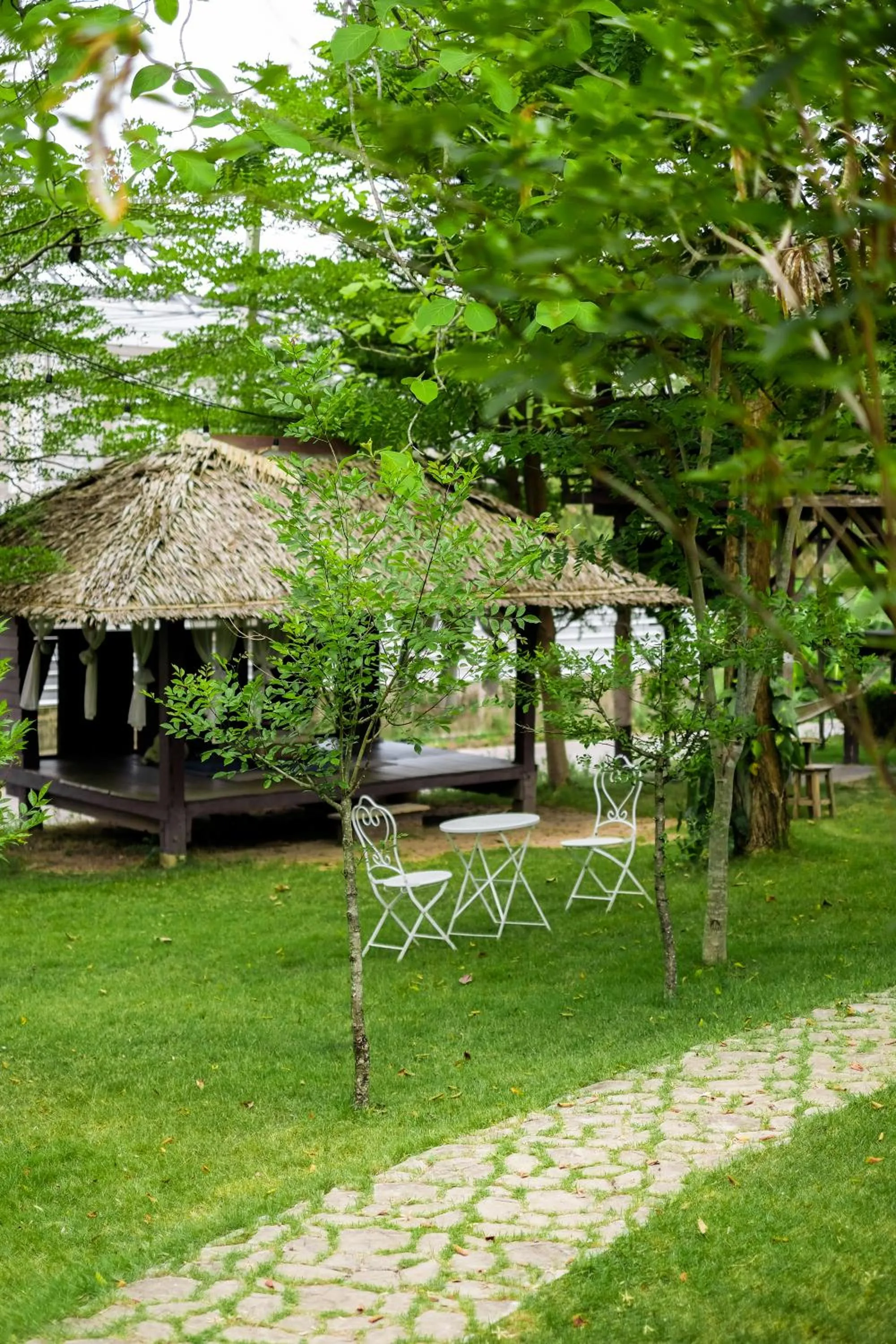 Natural landscape in Casa Foresta Nan