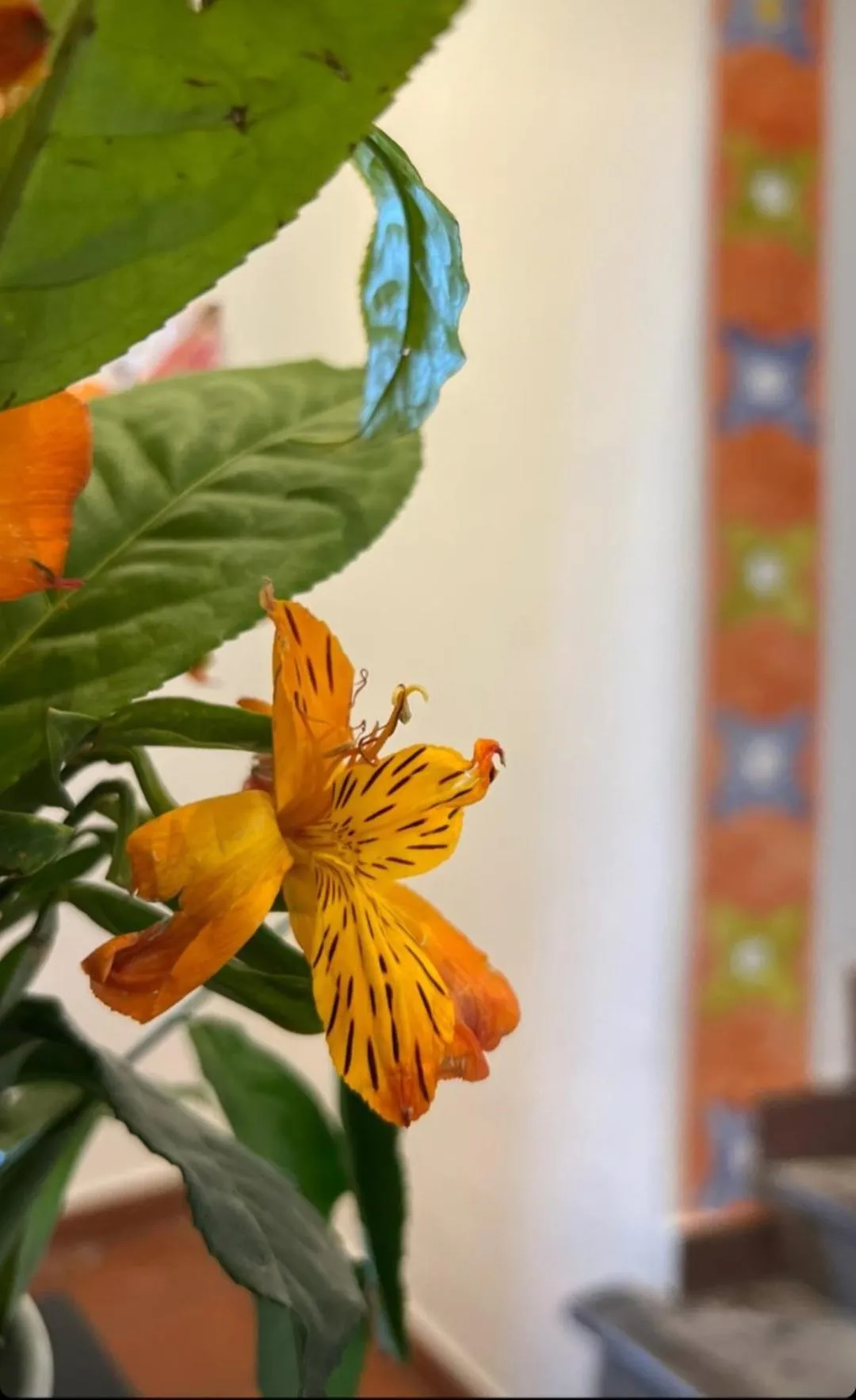 Lobby or reception in Hotel Sueños del Inka