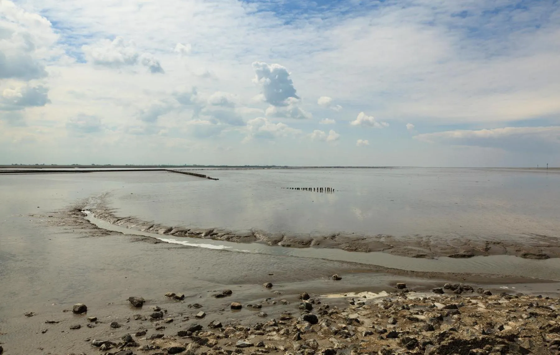 Natural landscape in Logement Nij Bonga Holwerd