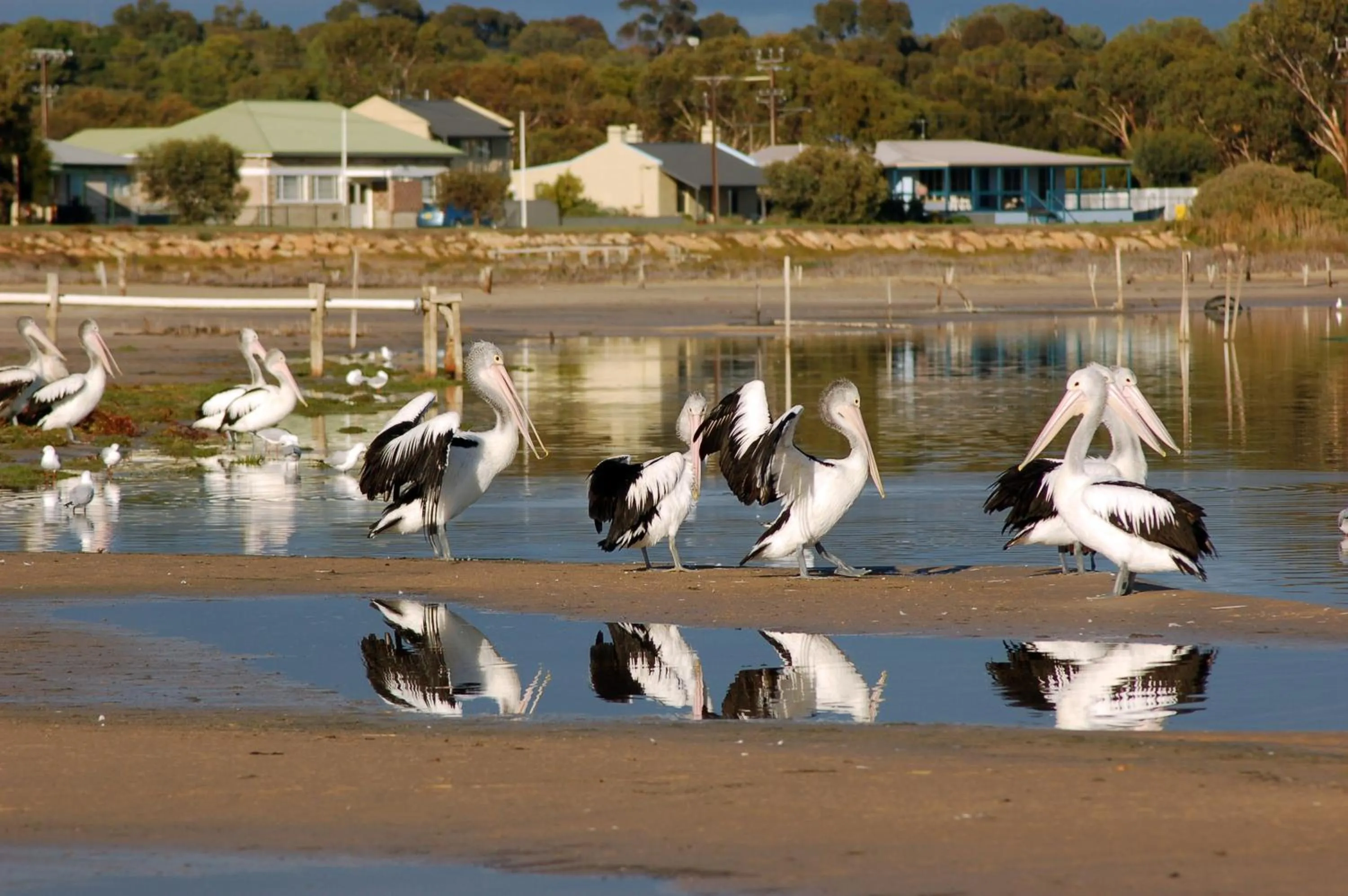 Beach in Meningie Waterfront Motel