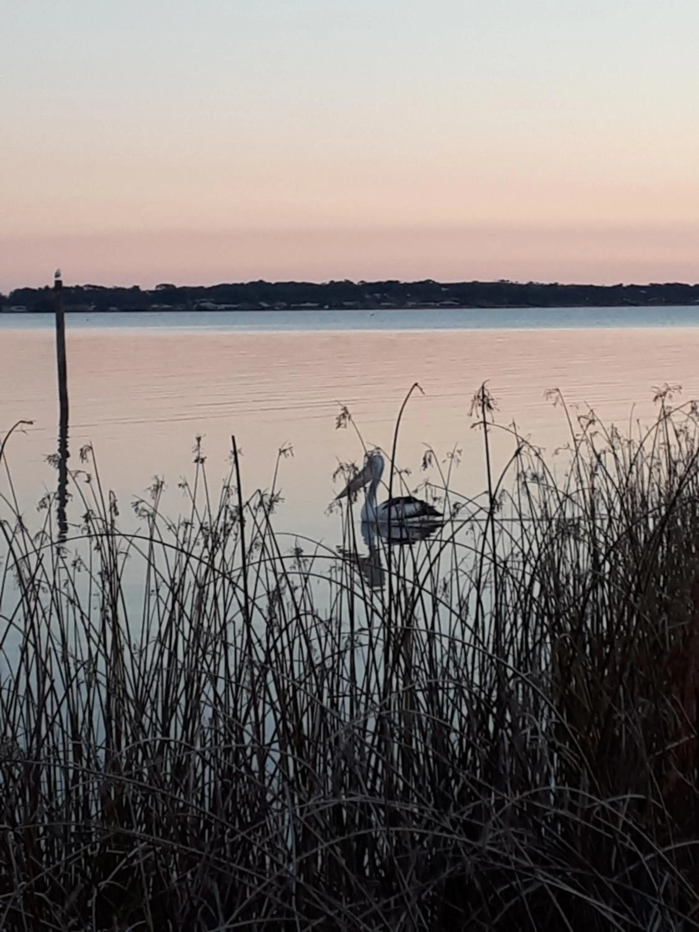Natural landscape in Meningie Waterfront Motel