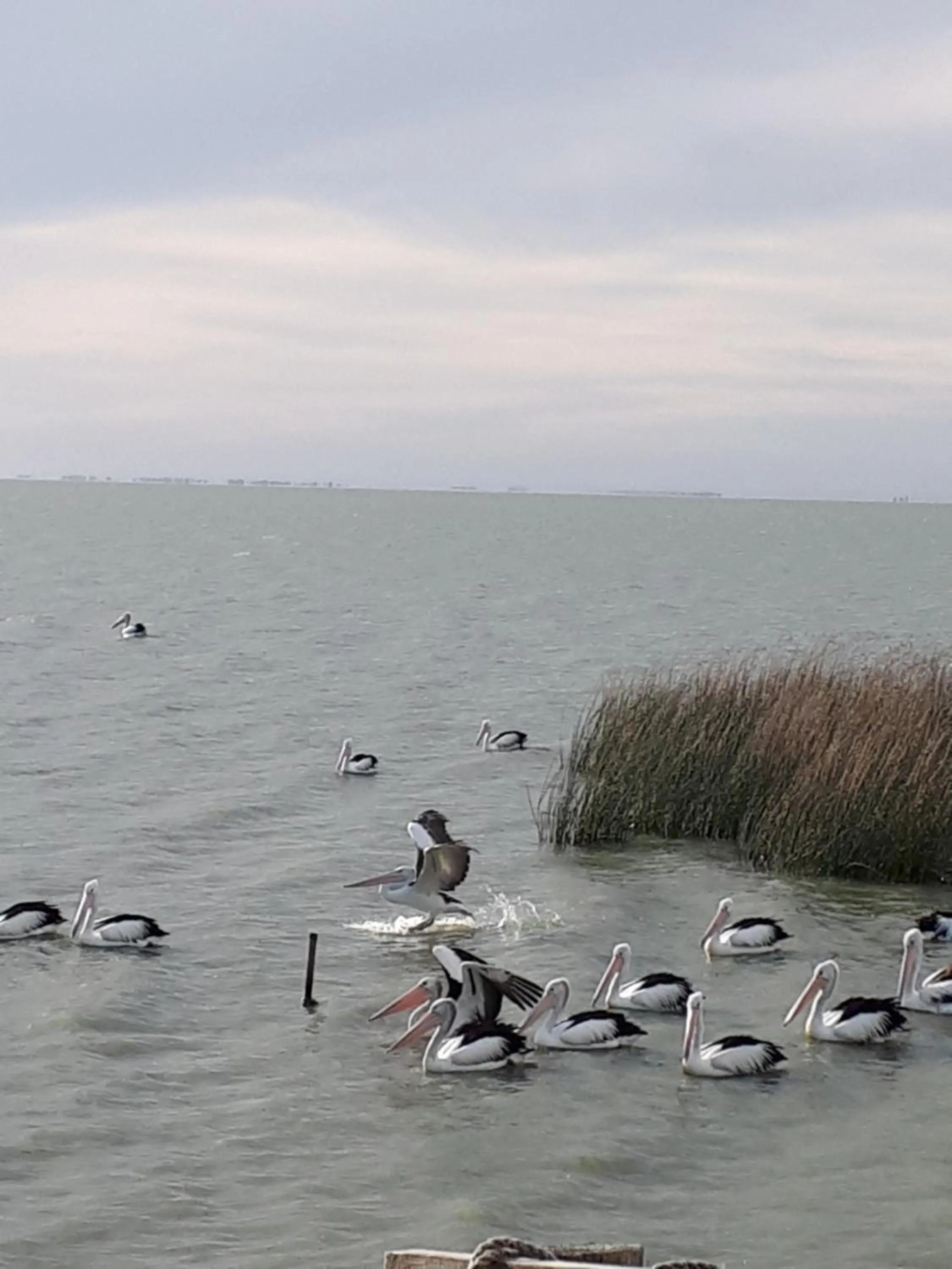 Meningie Waterfront Motel