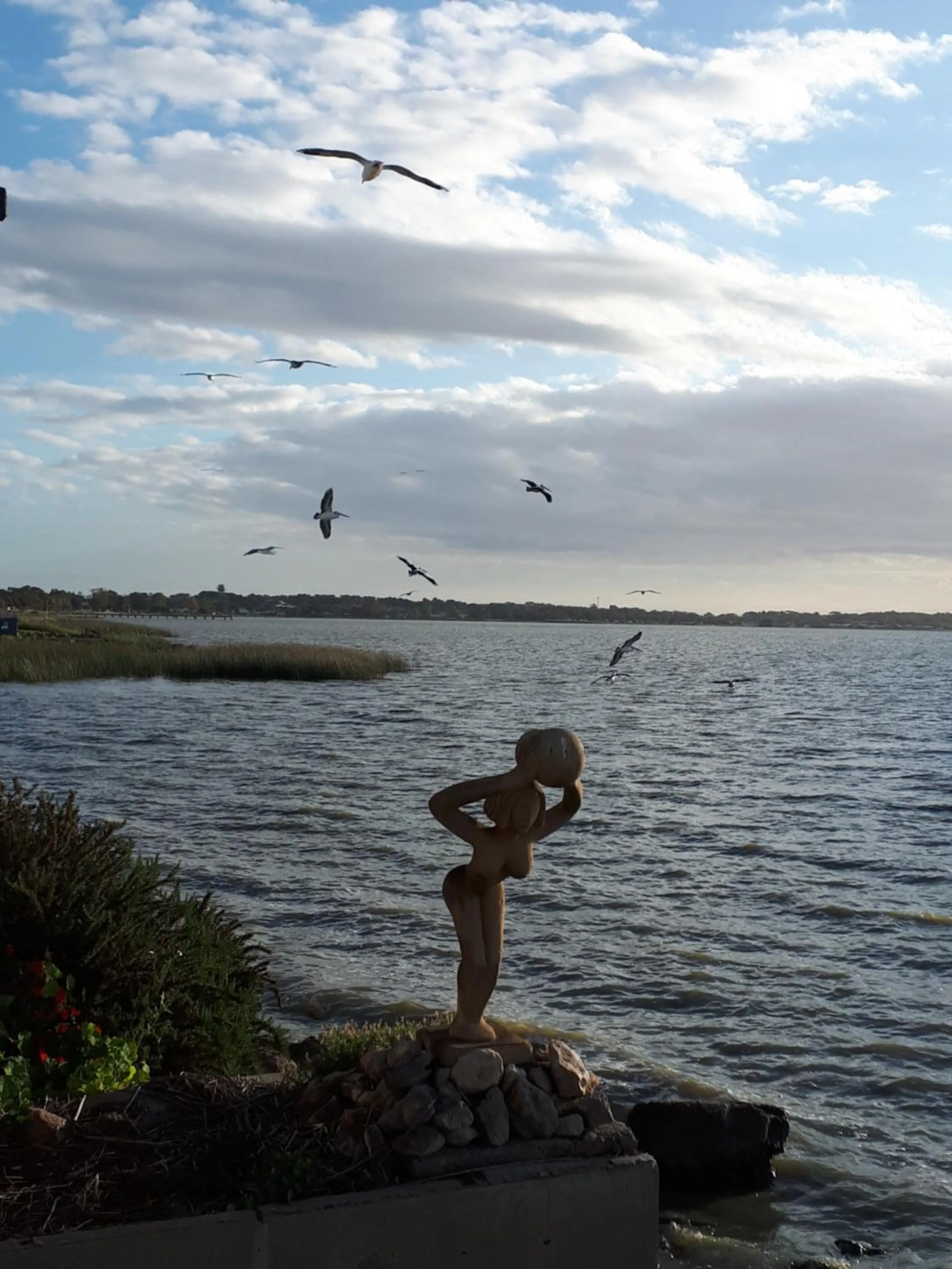 Natural landscape in Meningie Waterfront Motel