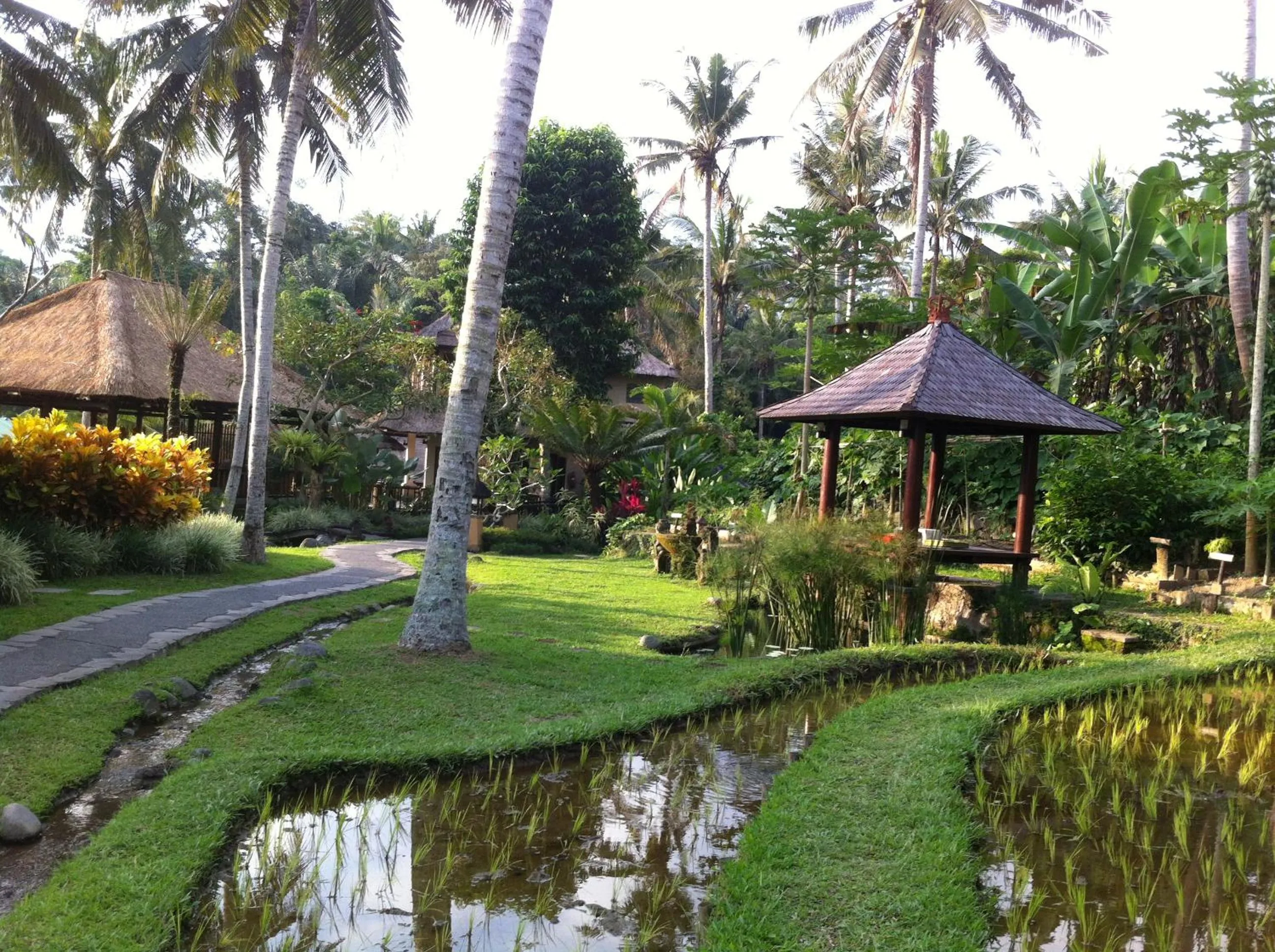 Garden in Villa Semana Resort Ubud