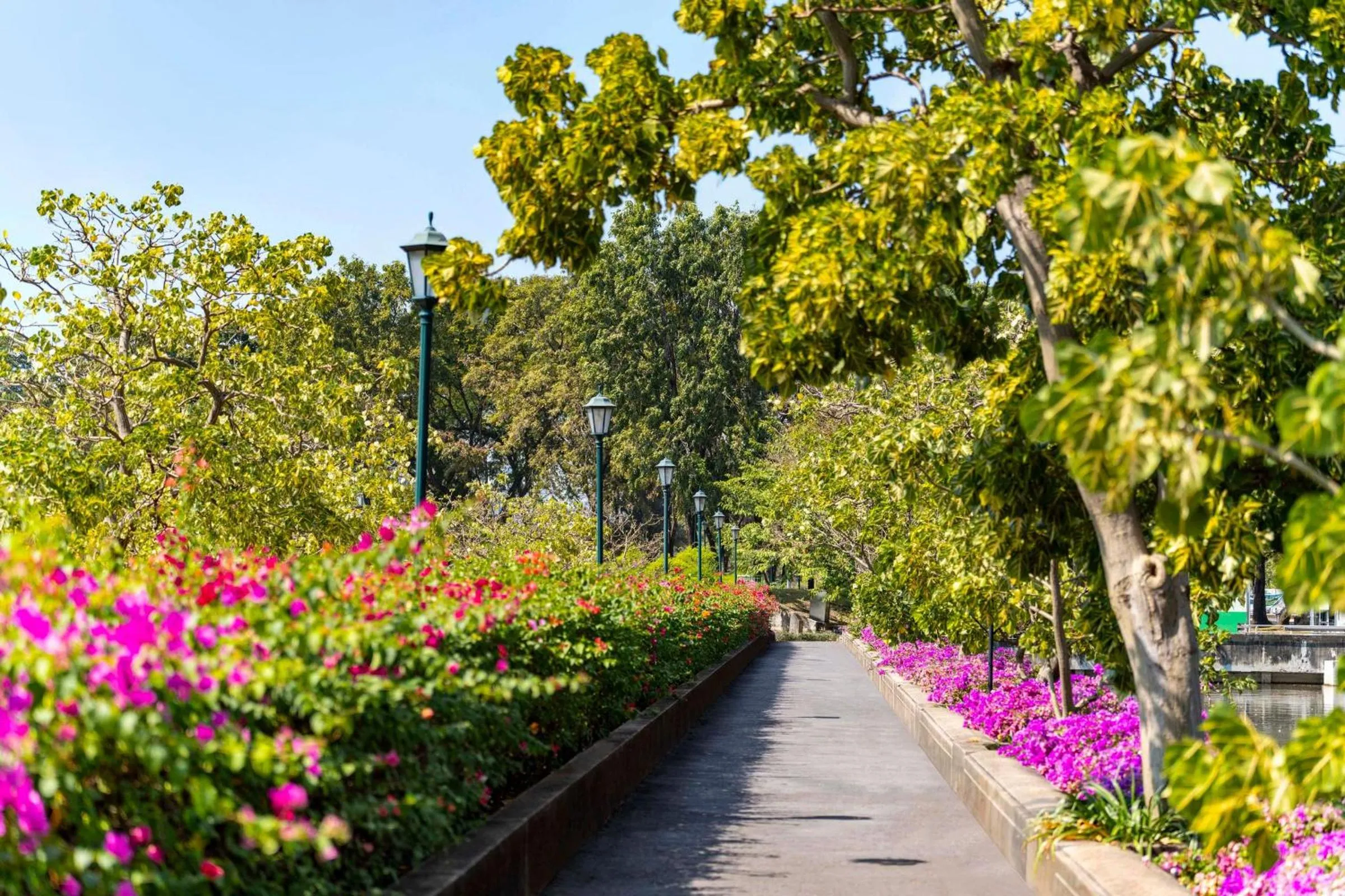 Area and facilities in TUI BLUE Maduzi Hotel Bangkok