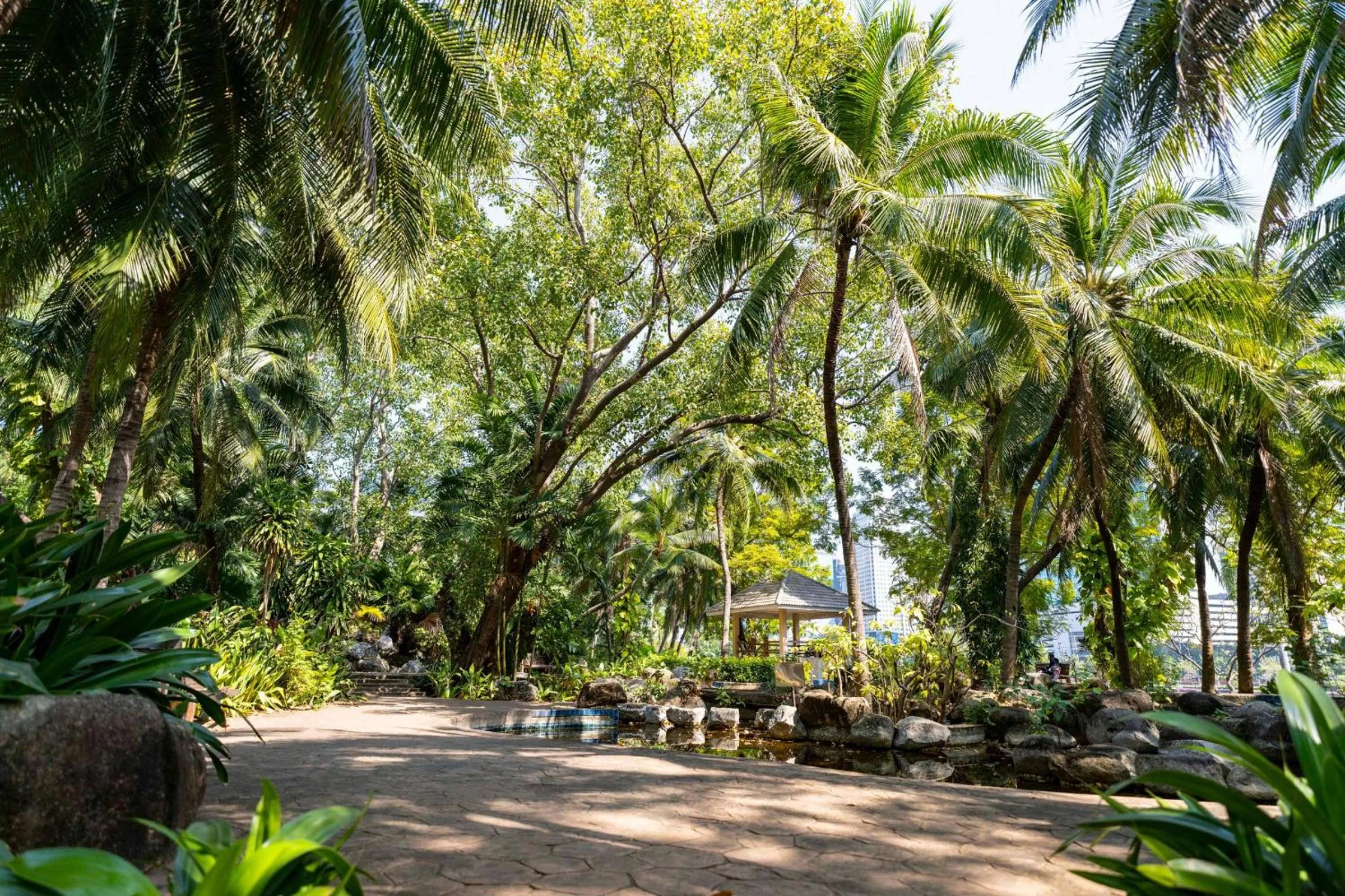 Area and facilities in TUI BLUE Maduzi Hotel Bangkok