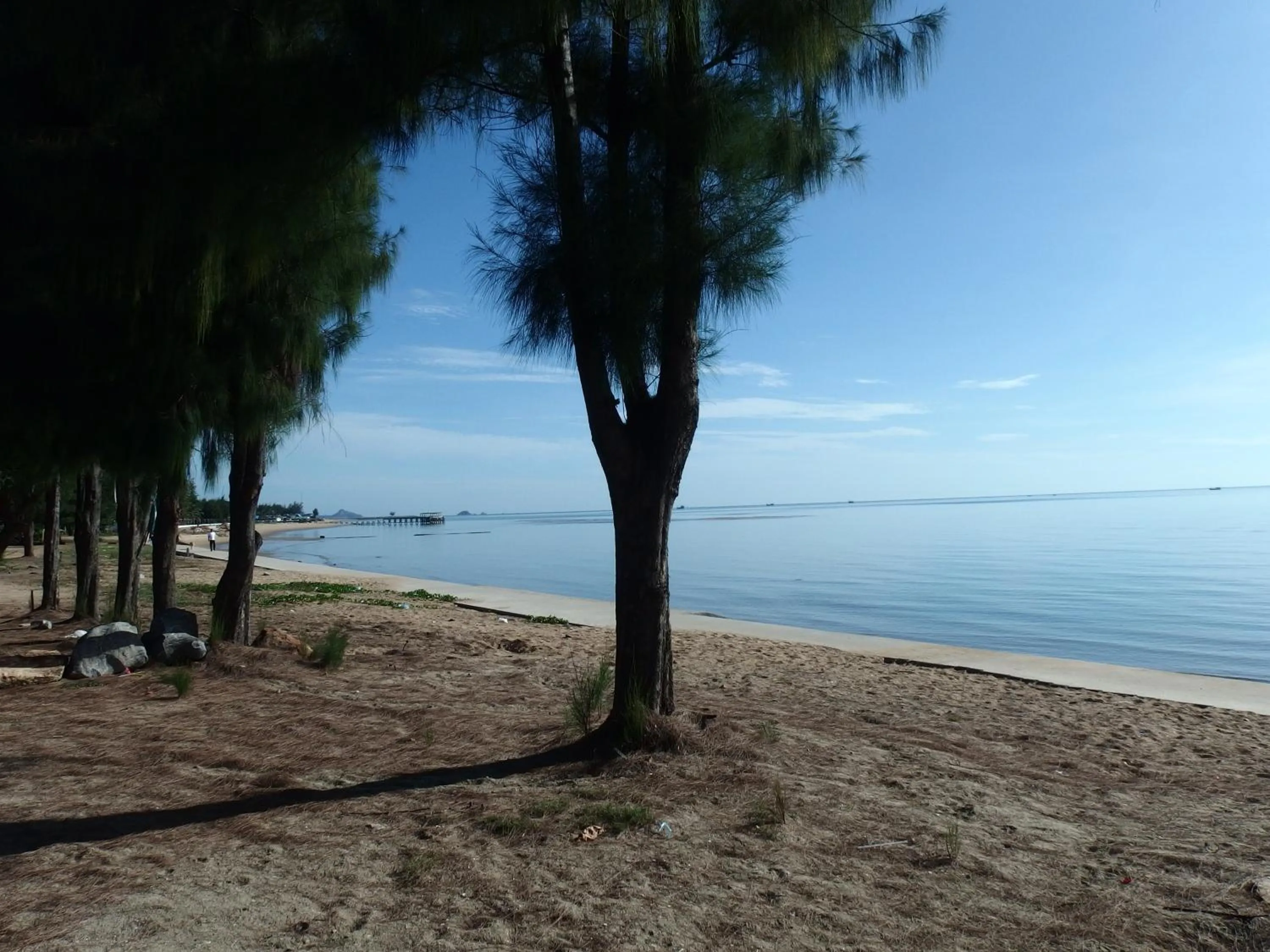 Beach in Palm Beach Resort
