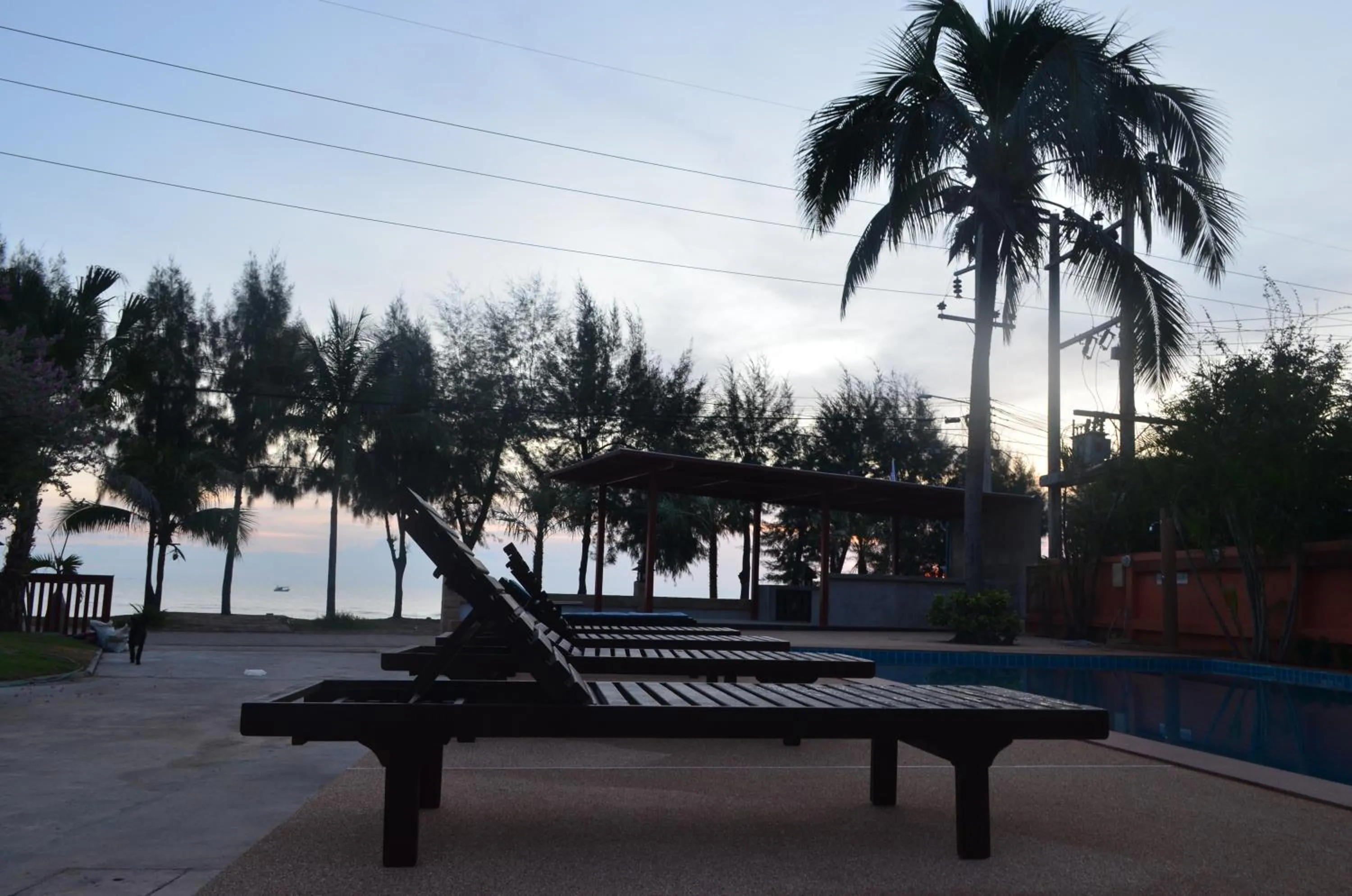 Area and facilities in Palm Beach Resort