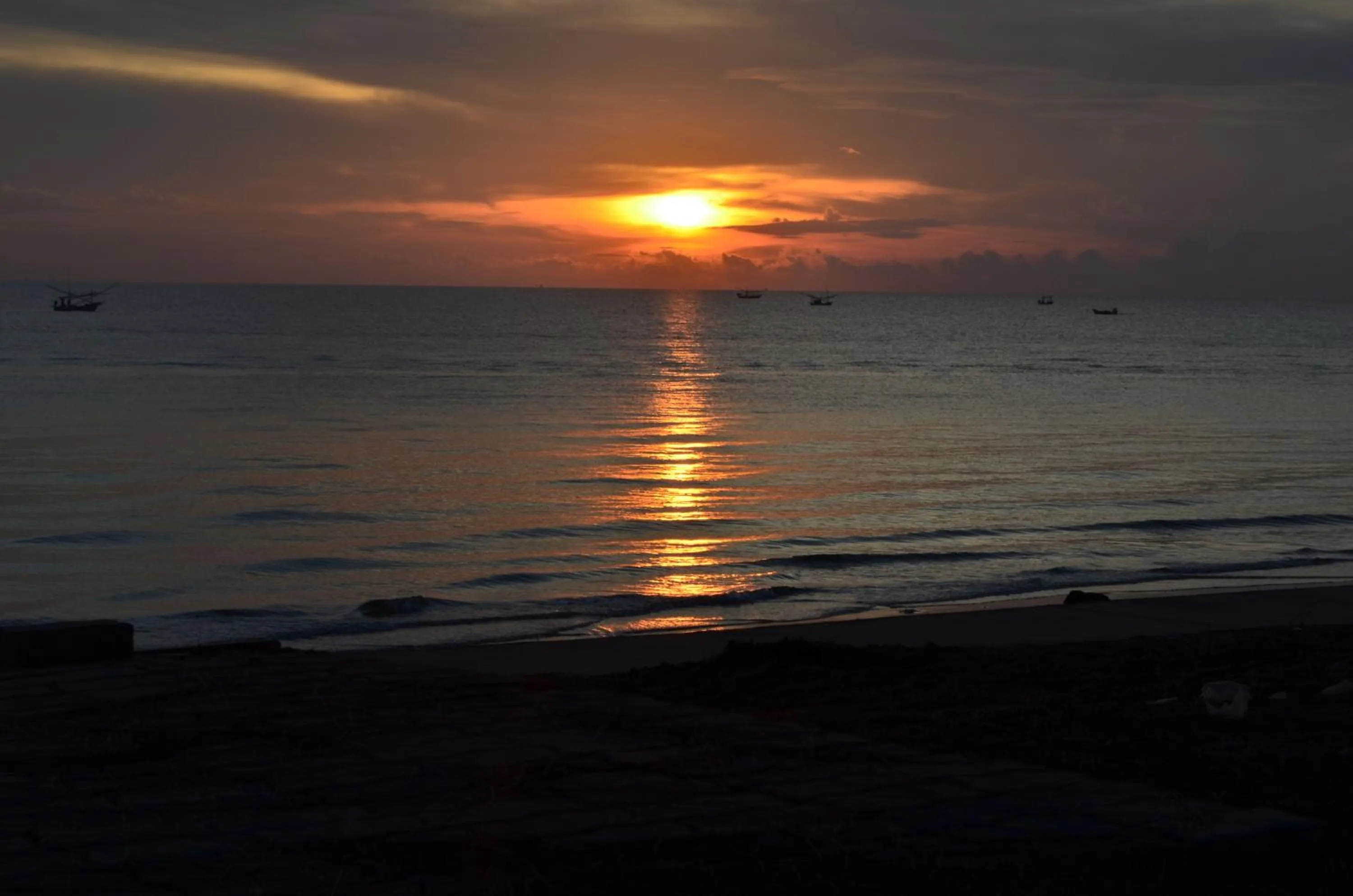 Area and facilities in Palm Beach Resort