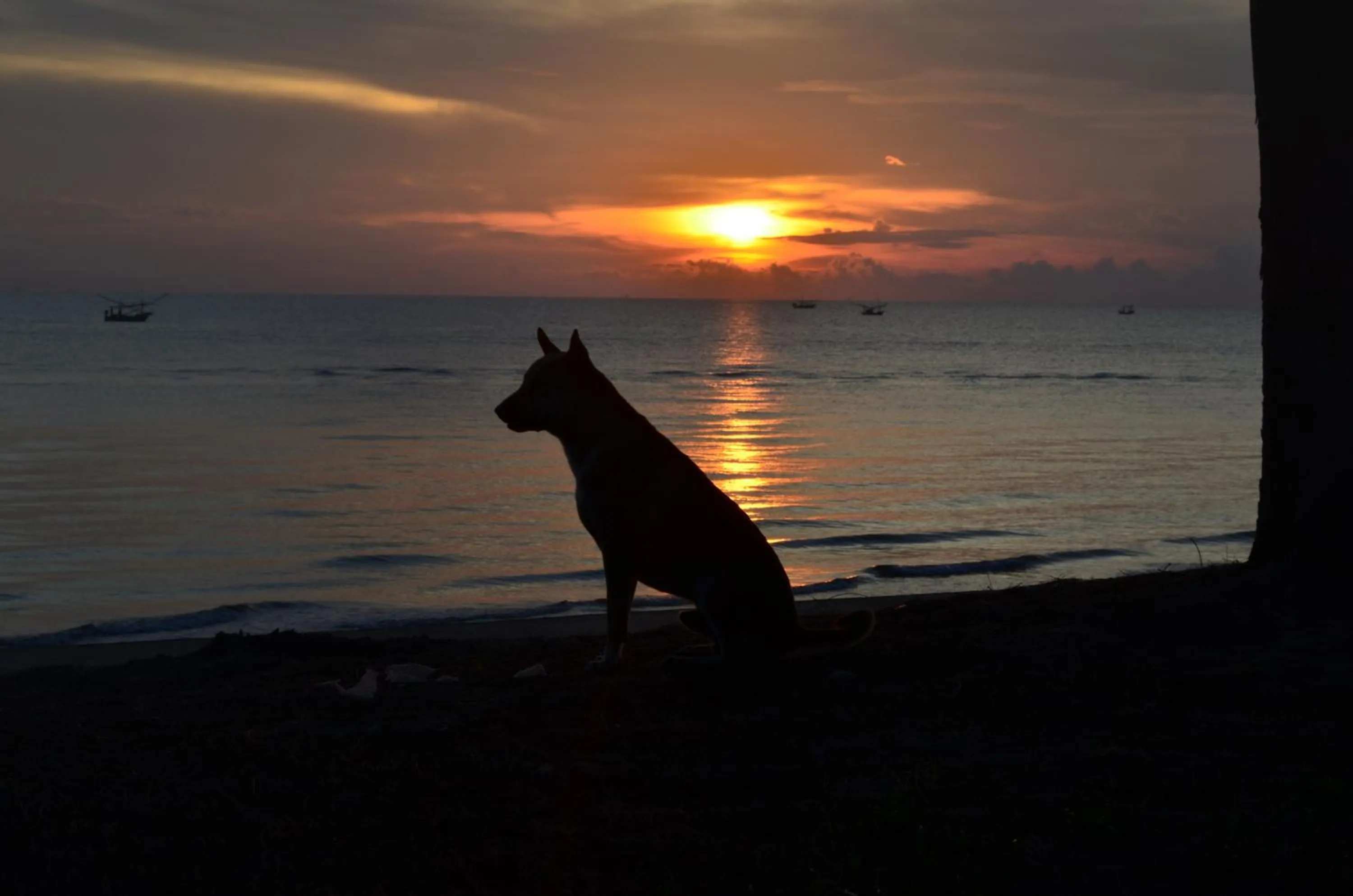 Area and facilities in Palm Beach Resort