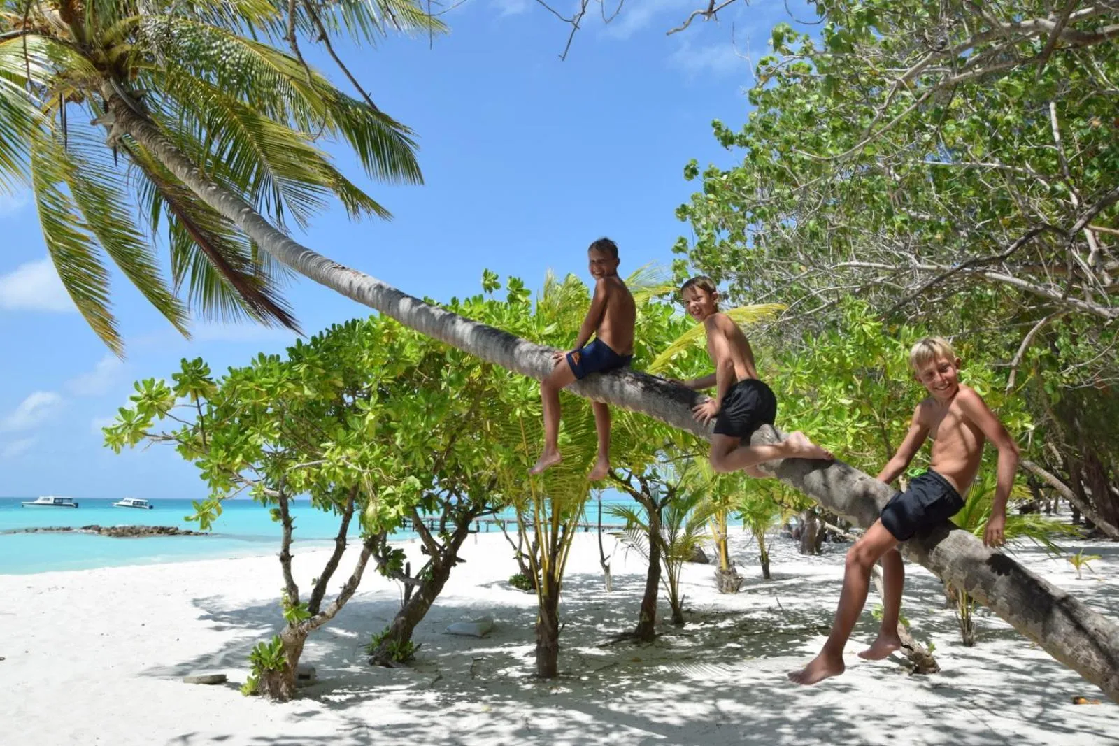Natural landscape in Araamu Hotels Maldives at Dhiffushi