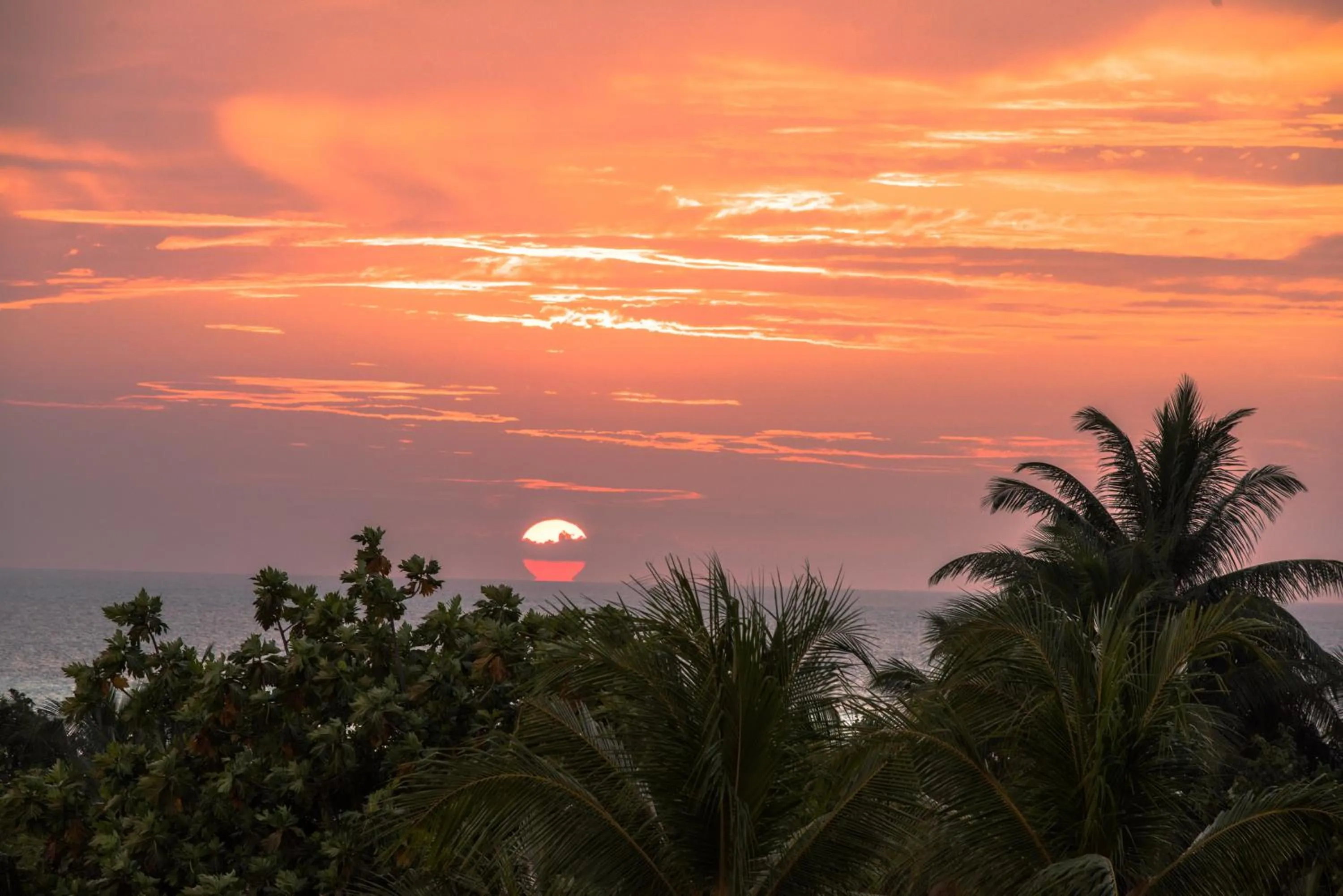 Day in Araamu Hotels Maldives at Dhiffushi