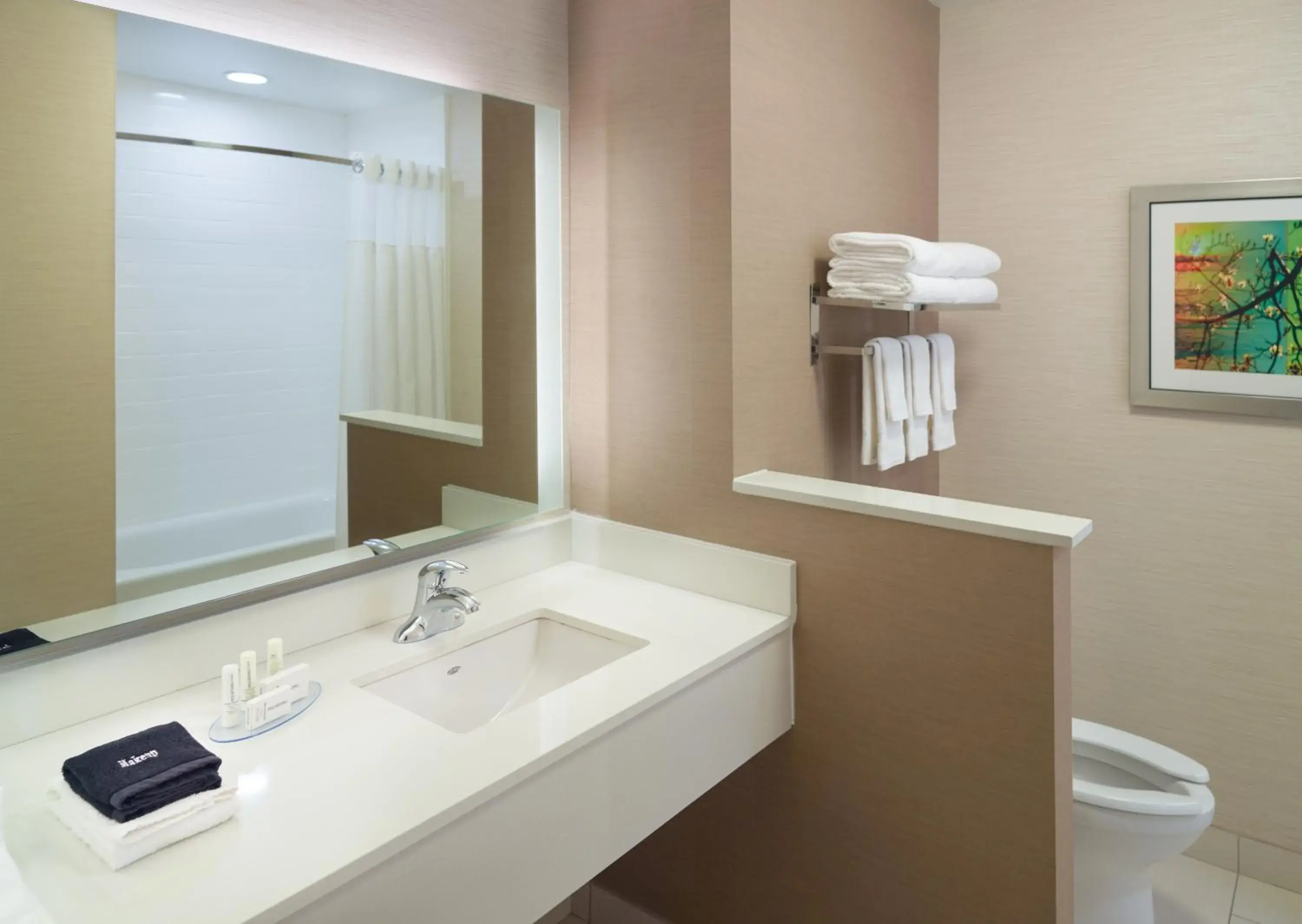 King Guest Room in Fairfield Inn & Suites by Marriott Hendersonville Flat Rock King Guest Room in Fairfield Inn & Suites by Marriott Hendersonville Flat Rock