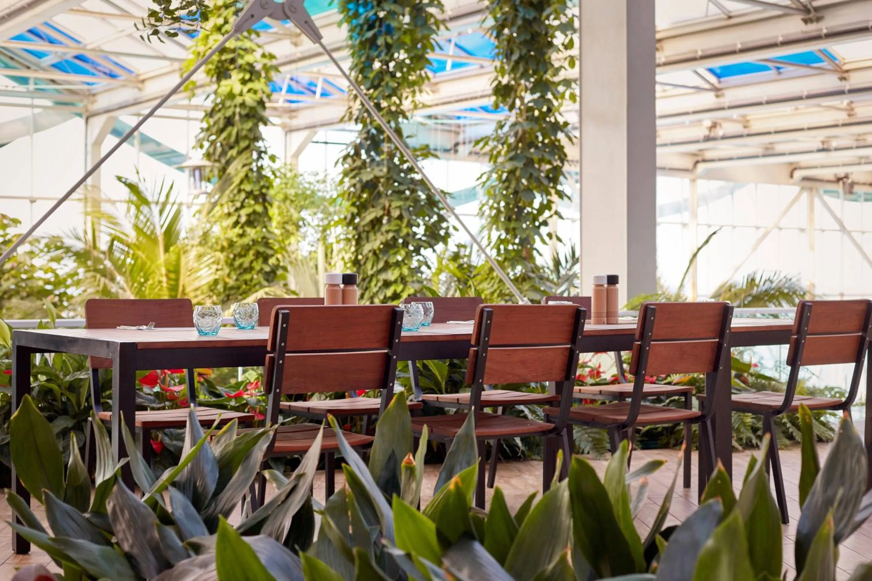 Restaurant/places to eat in Paragraph Resort & Spa Shekvetili, Autograph Collection