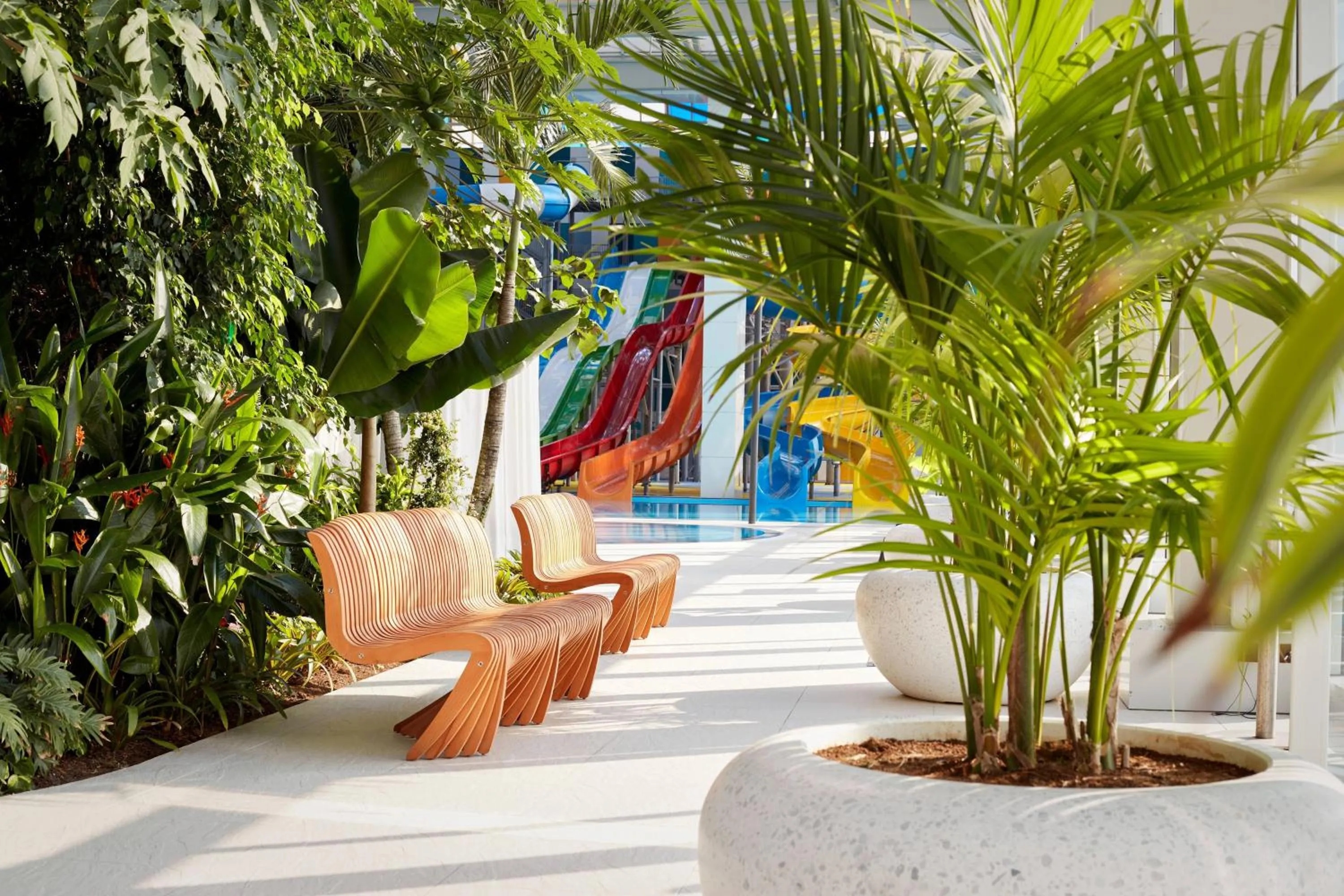 Area and facilities in Paragraph Resort & Spa Shekvetili, Autograph Collection