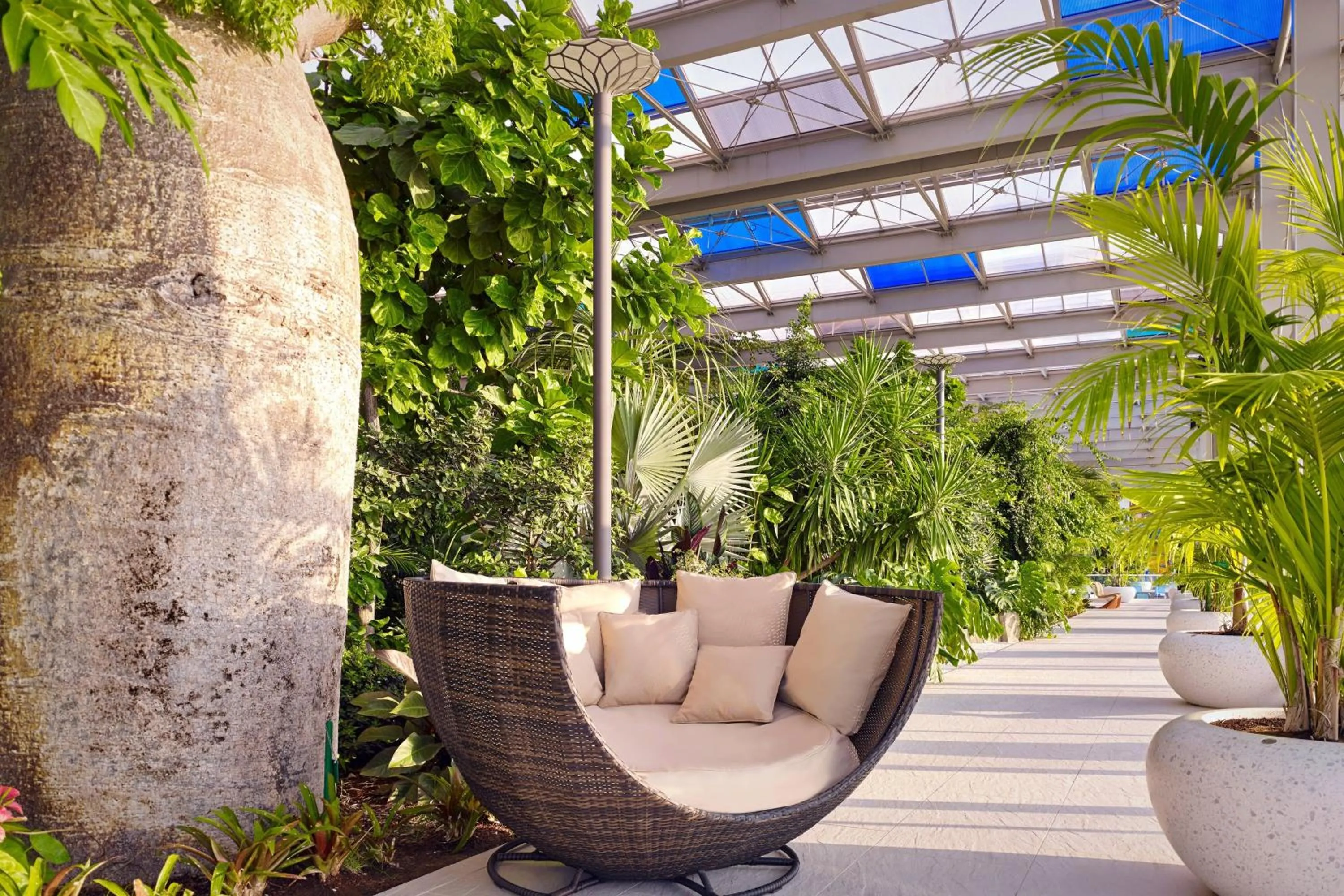 Other in Paragraph Resort & Spa Shekvetili, Autograph Collection