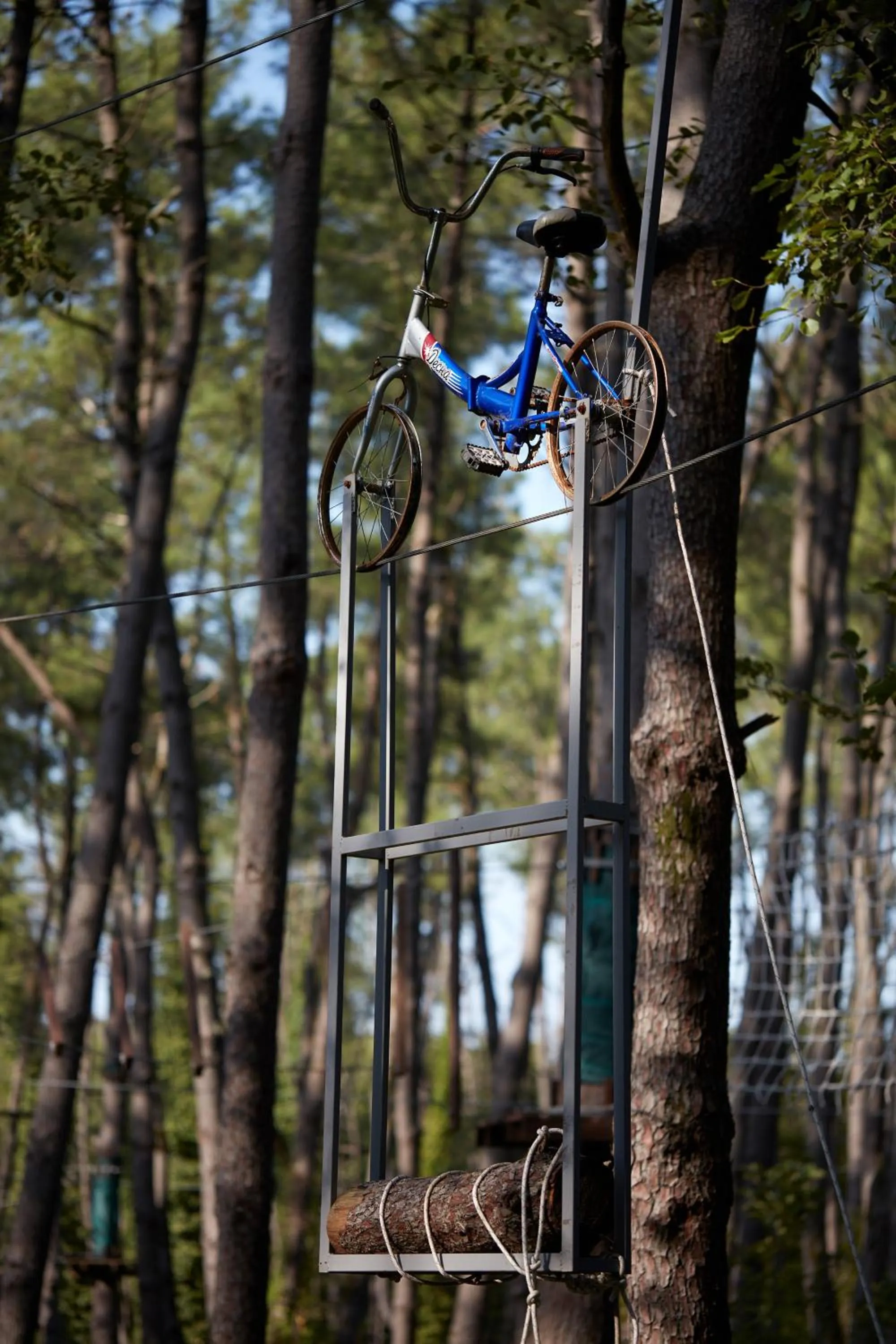 Other in Paragraph Resort & Spa Shekvetili, Autograph Collection