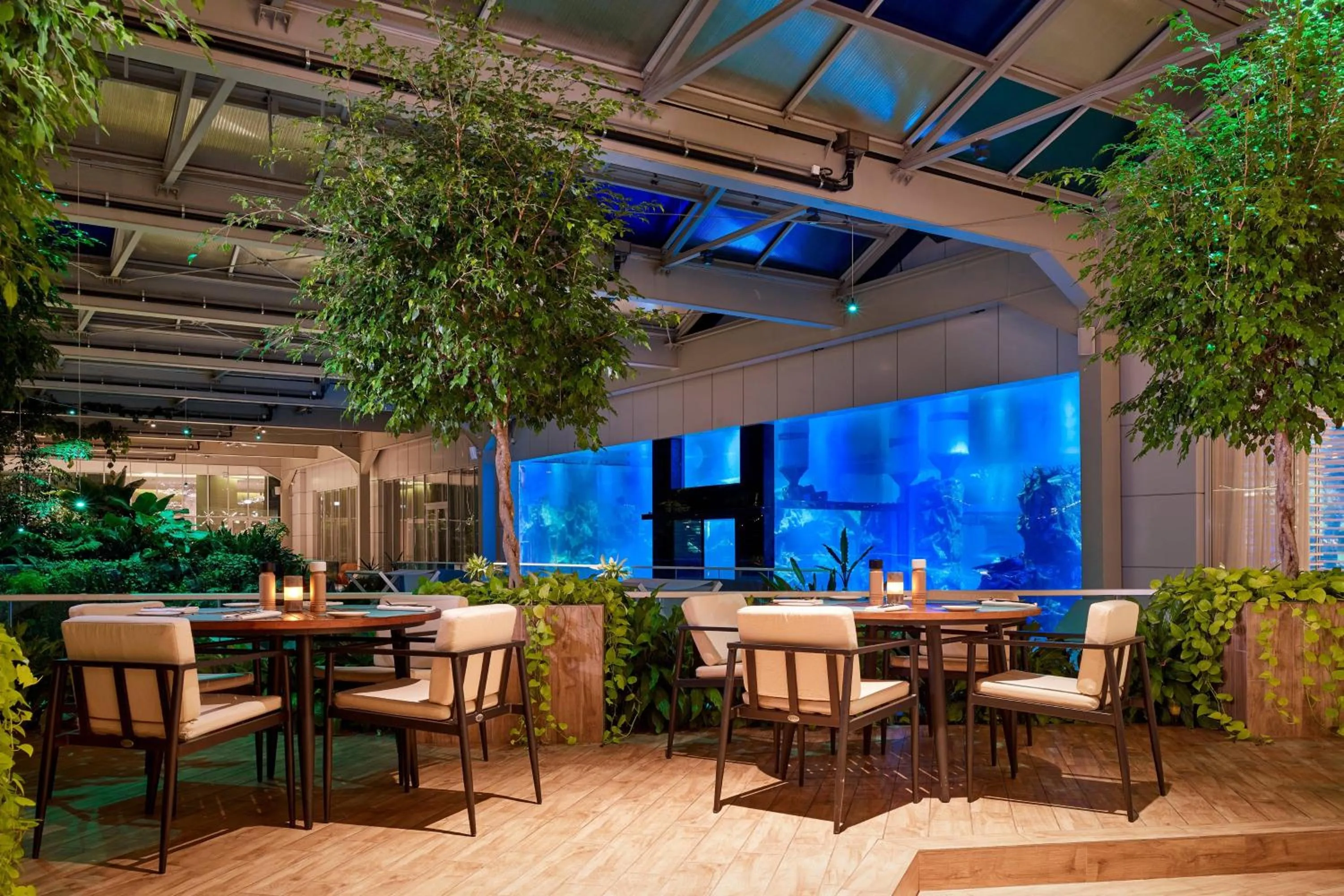 Restaurant/places to eat in Paragraph Resort & Spa Shekvetili, Autograph Collection