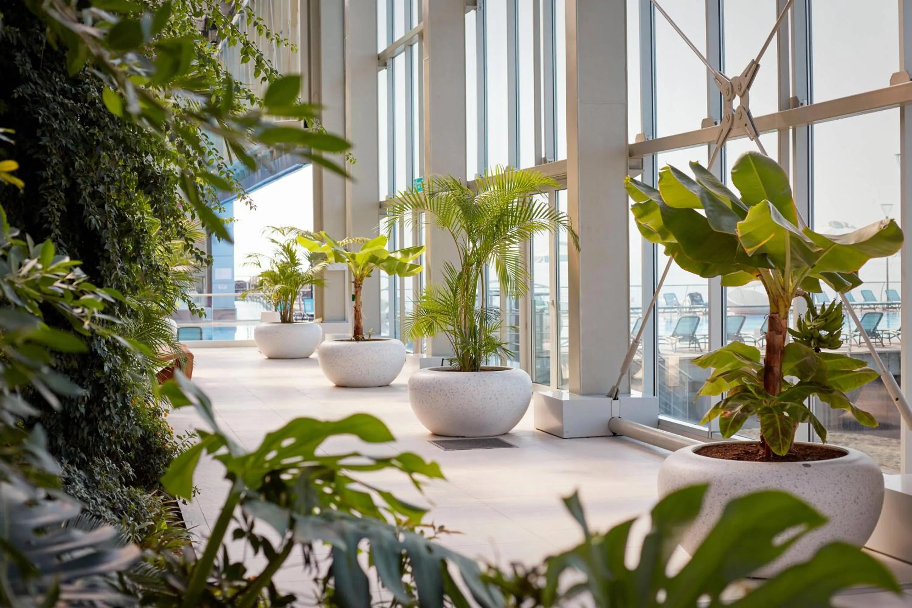 Other in Paragraph Resort & Spa Shekvetili, Autograph Collection