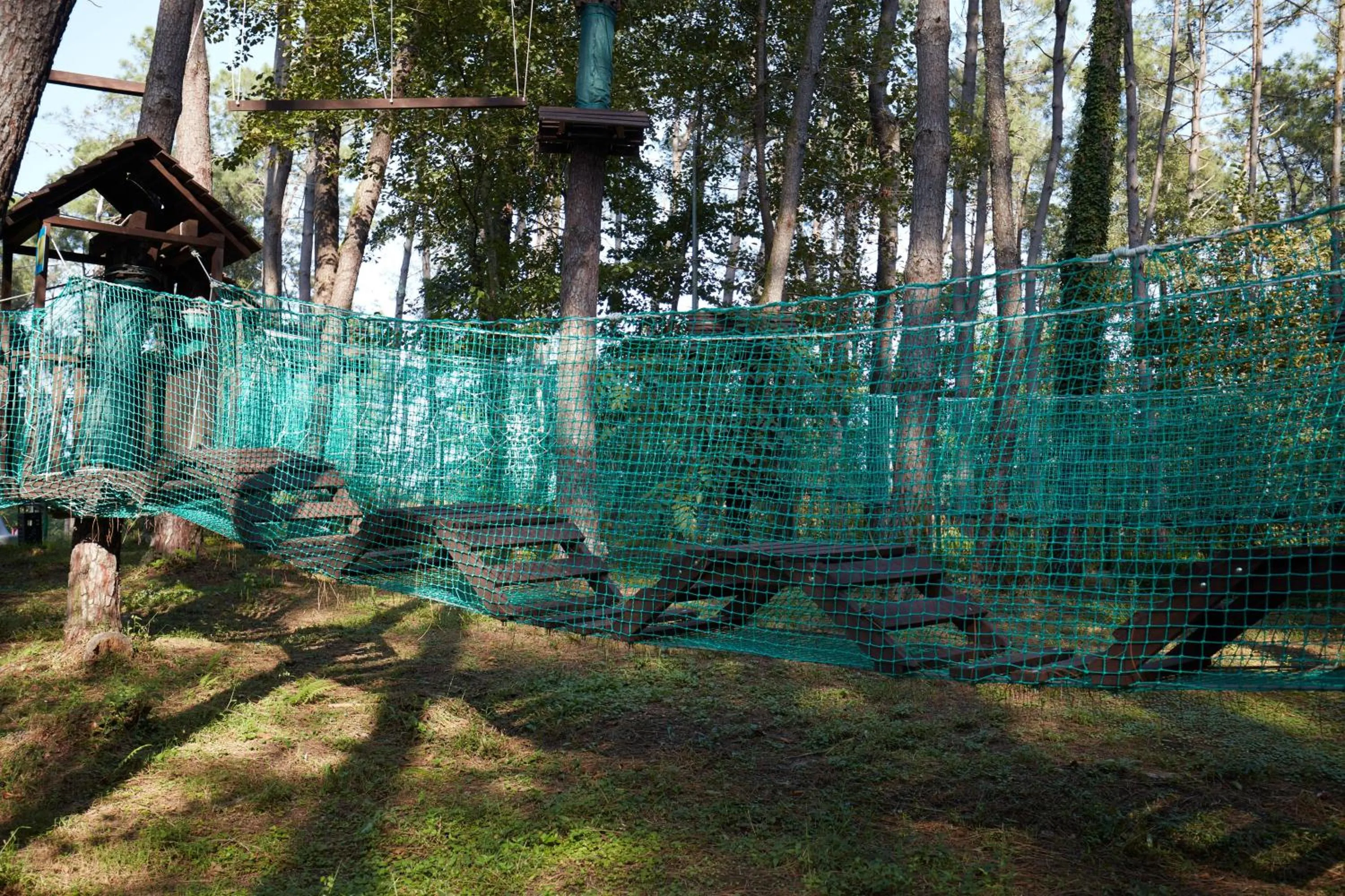 Other in Paragraph Resort & Spa Shekvetili, Autograph Collection