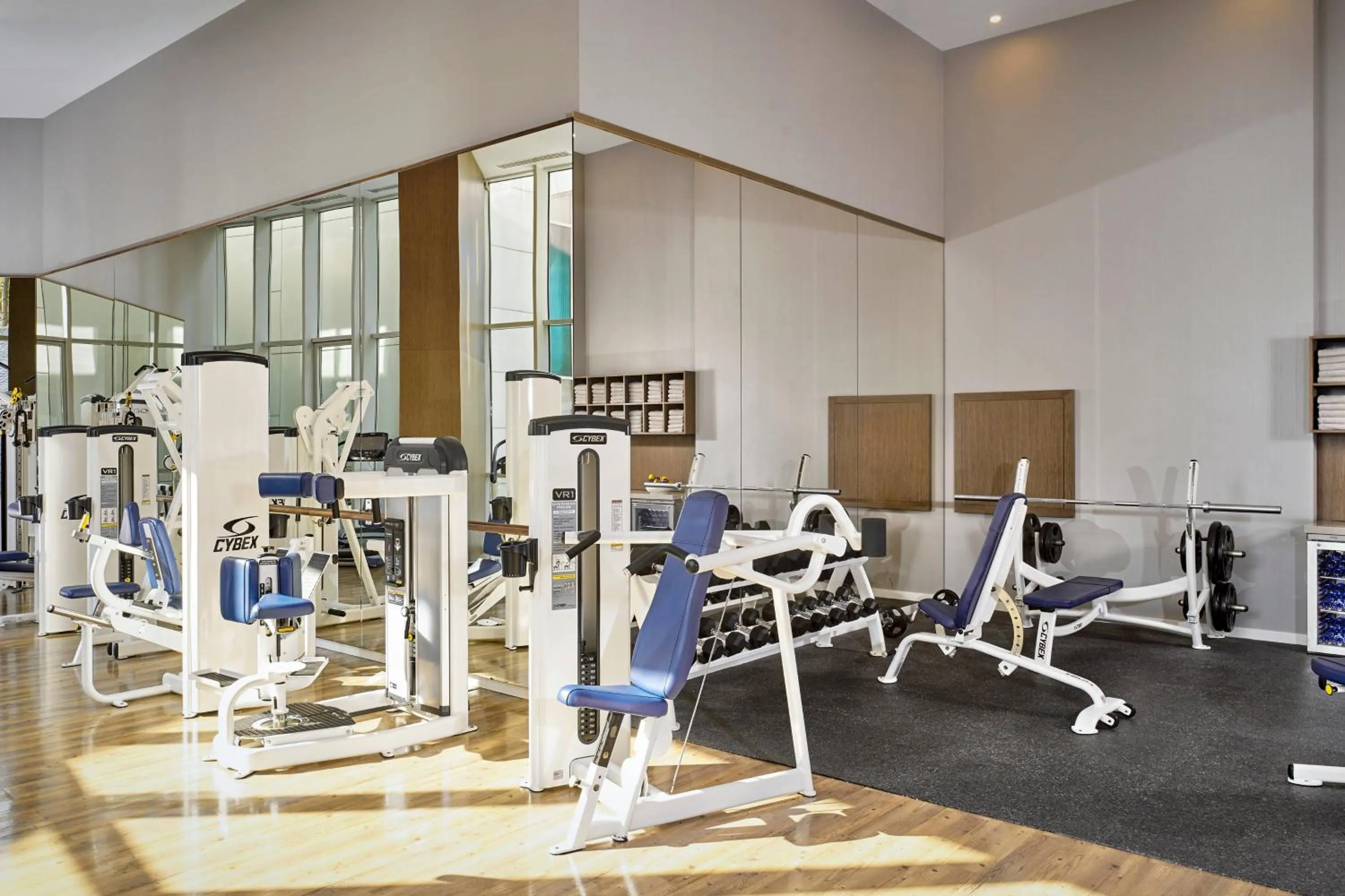 Fitness centre/facilities in Paragraph Resort & Spa Shekvetili, Autograph Collection