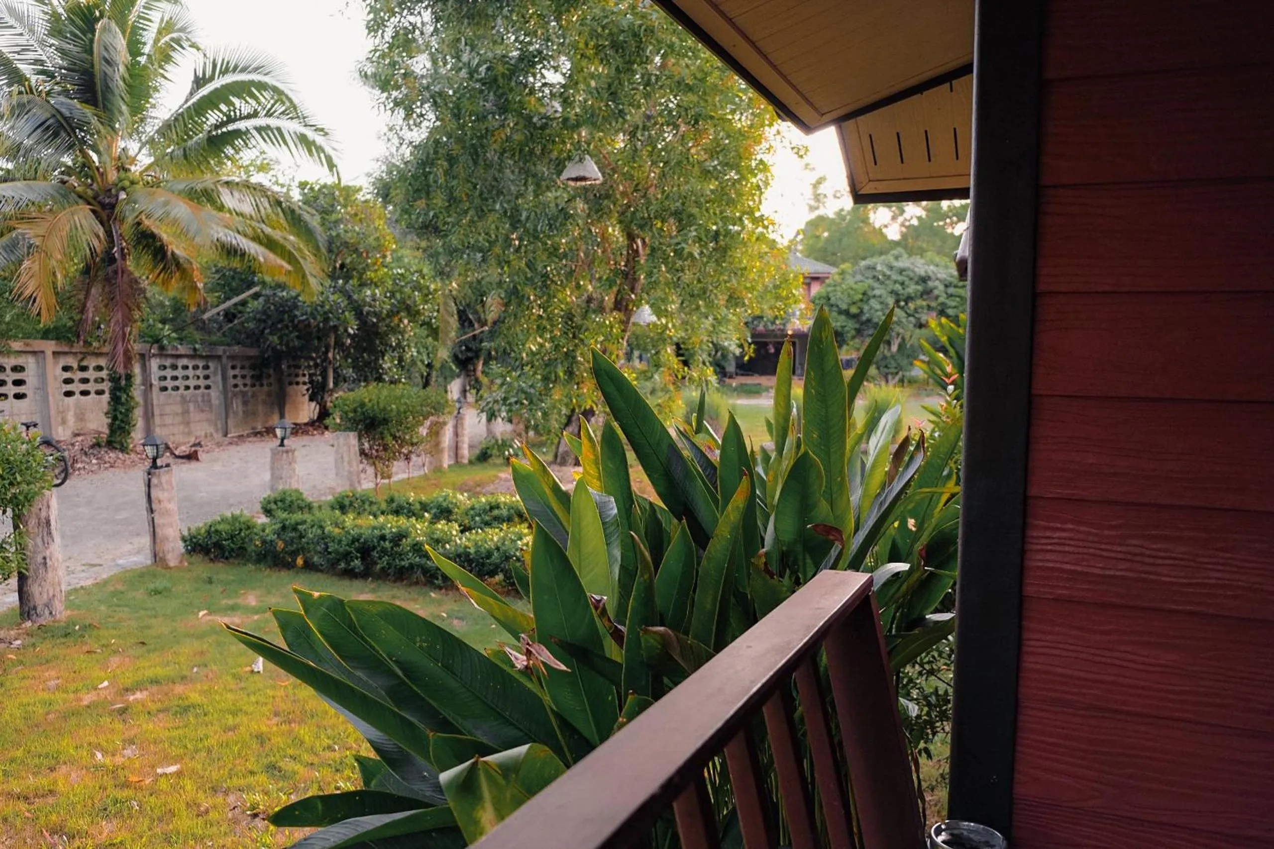 Balcony/Terrace in Cocco House