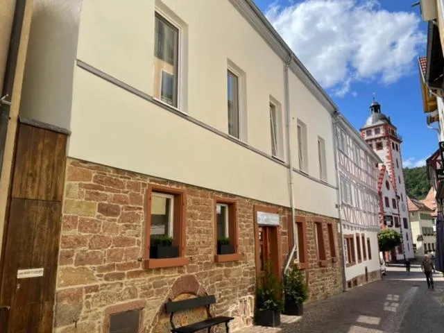 Property building in Hotel Schwanen