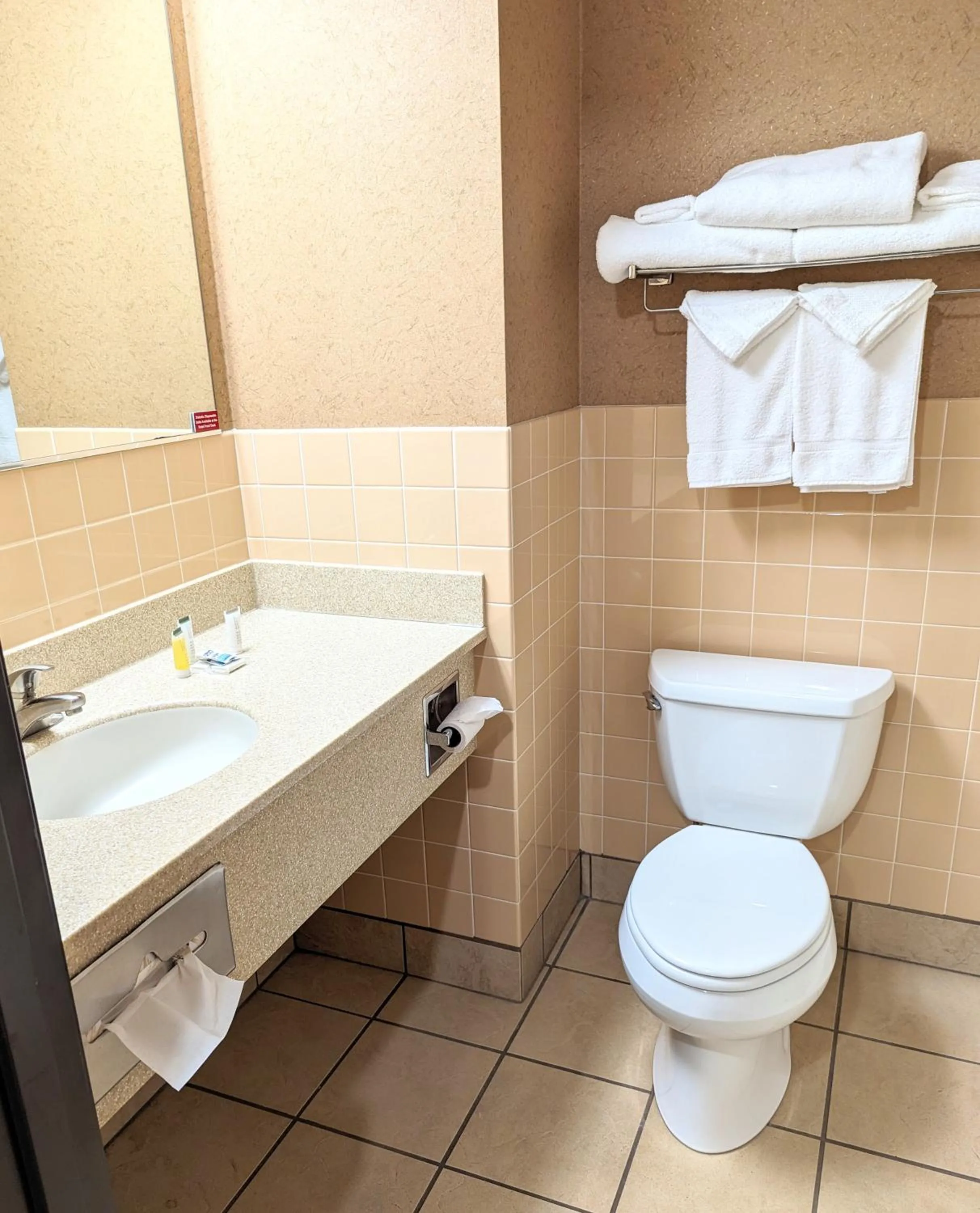 Bathroom in Travelodge by Wyndham Deadwood