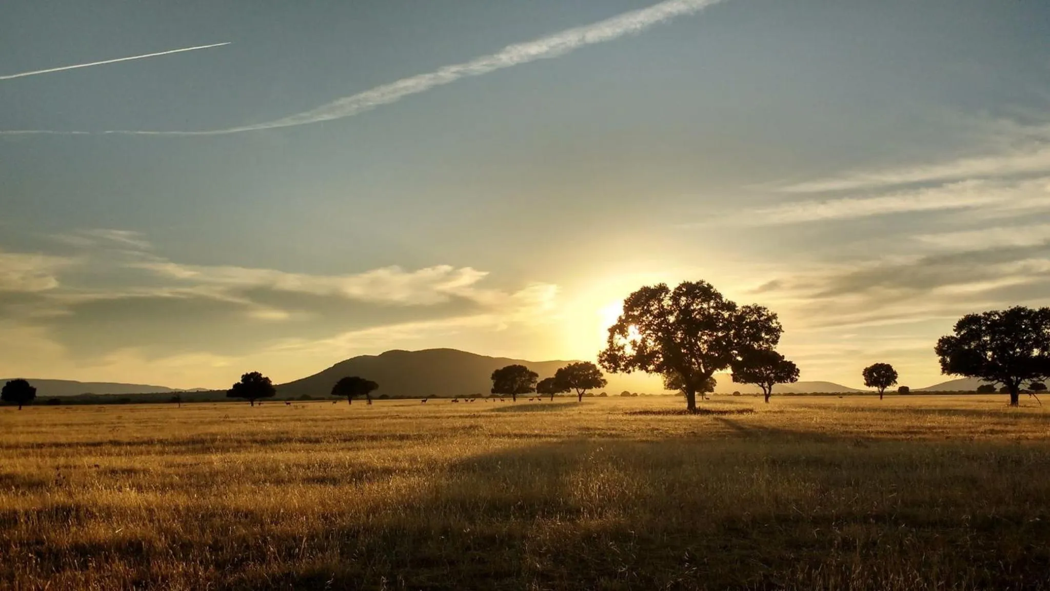 Hotel Bodega Pago del Vicario