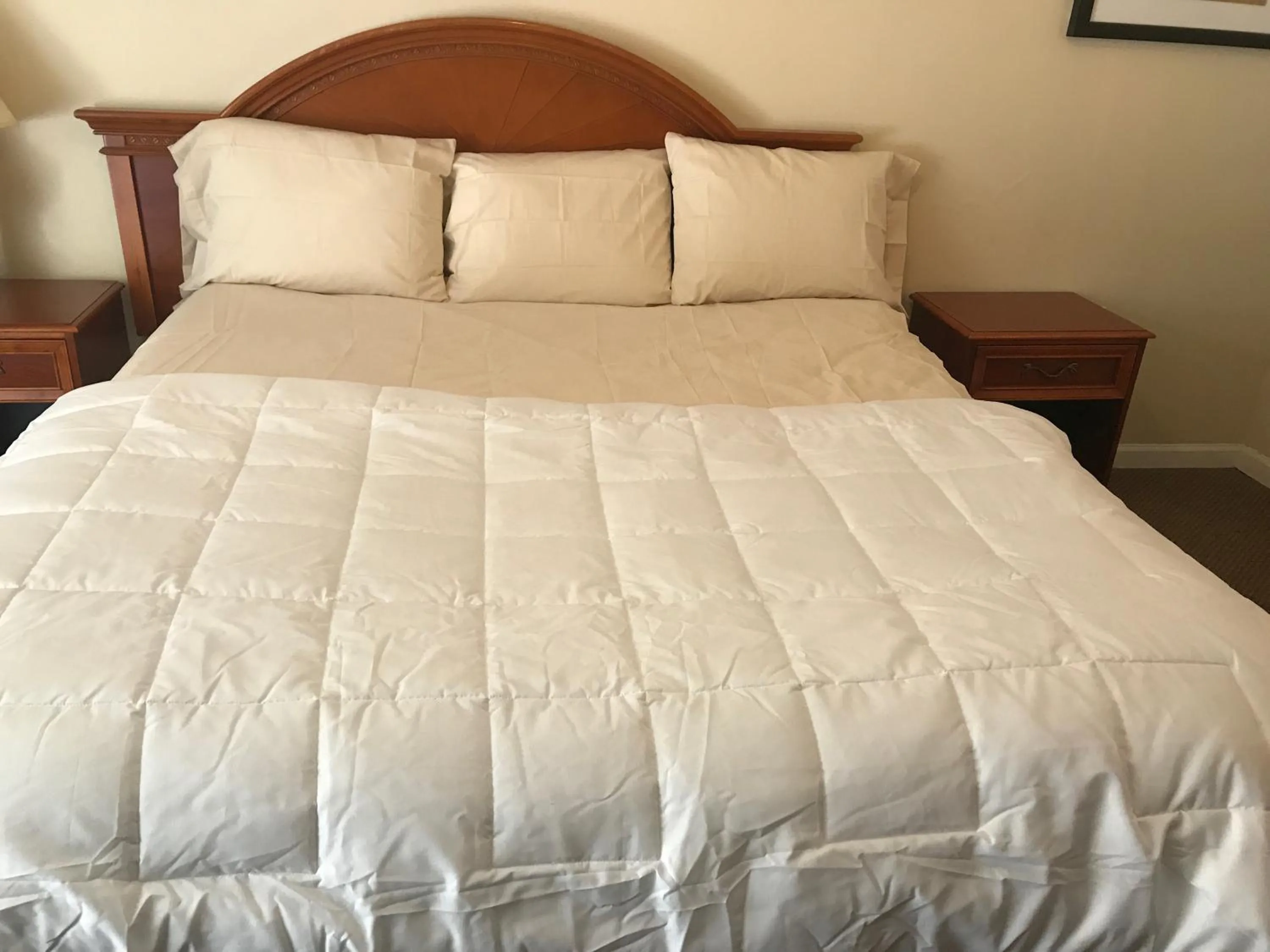 Bed in Red Carpet Inn, Alexandria