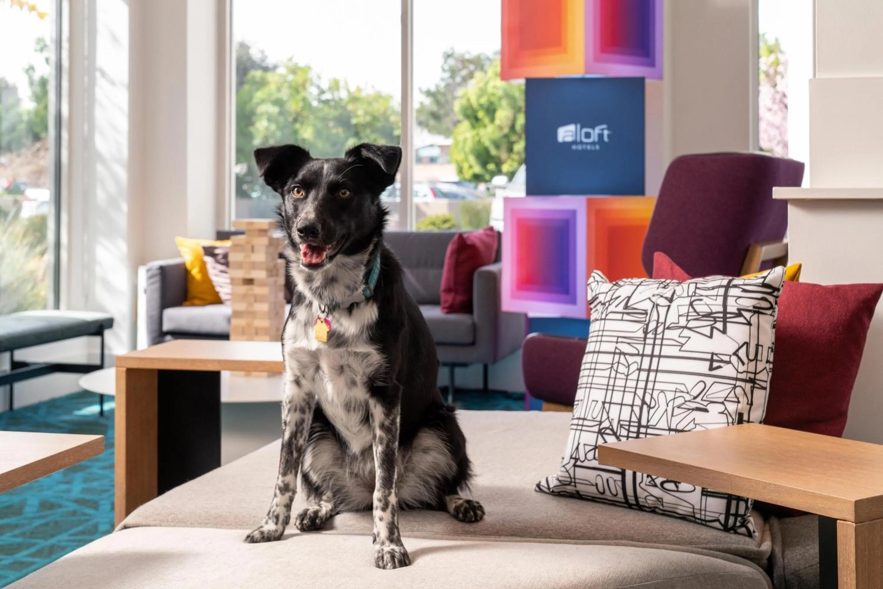 Other in Aloft Mountain View