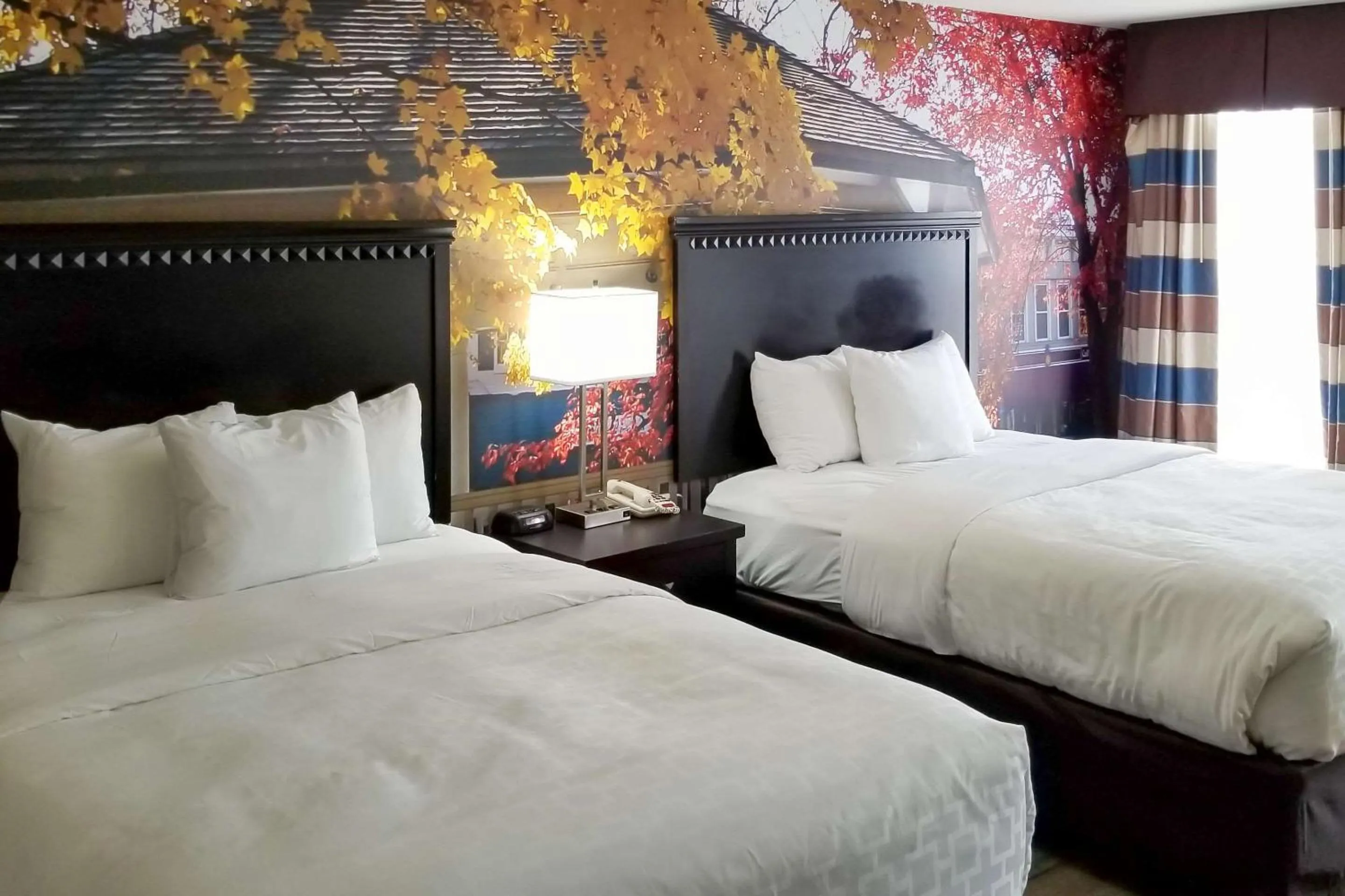 Bedroom in SureStay Plus by Best Western Corydon