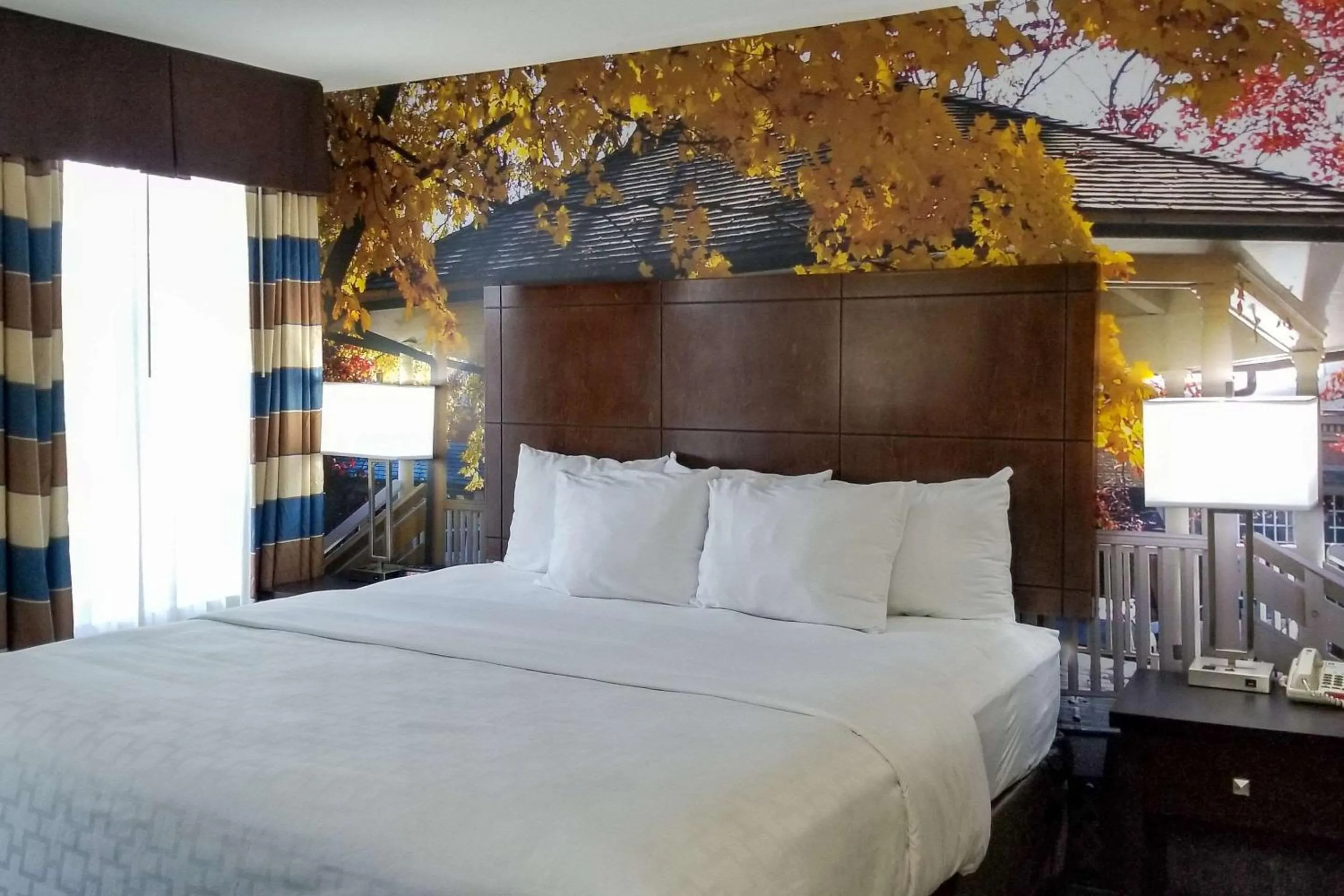 Bedroom in SureStay Plus by Best Western Corydon