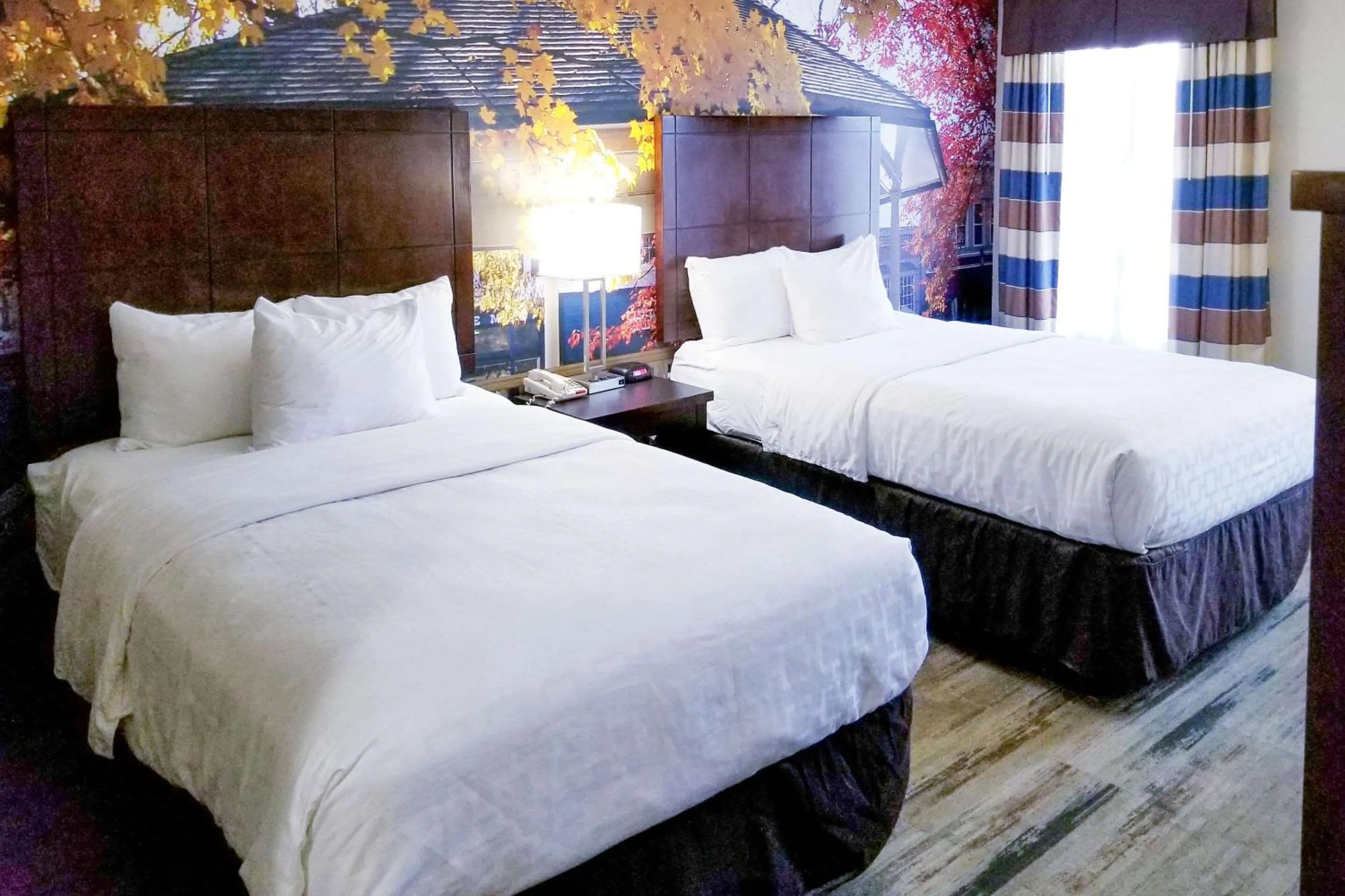 Bedroom in SureStay Plus by Best Western Corydon