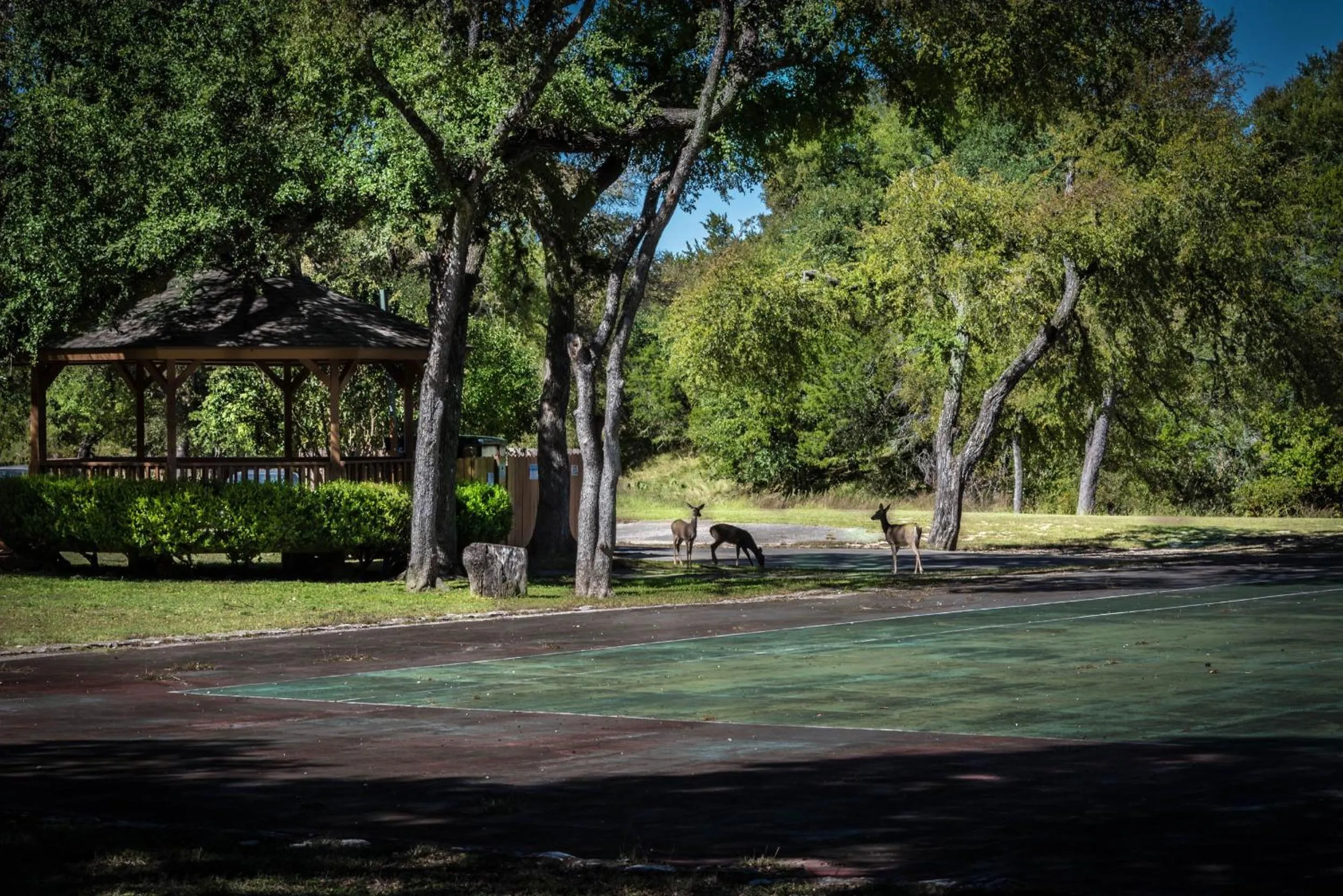 Neighbourhood in Cypress Fairway Village