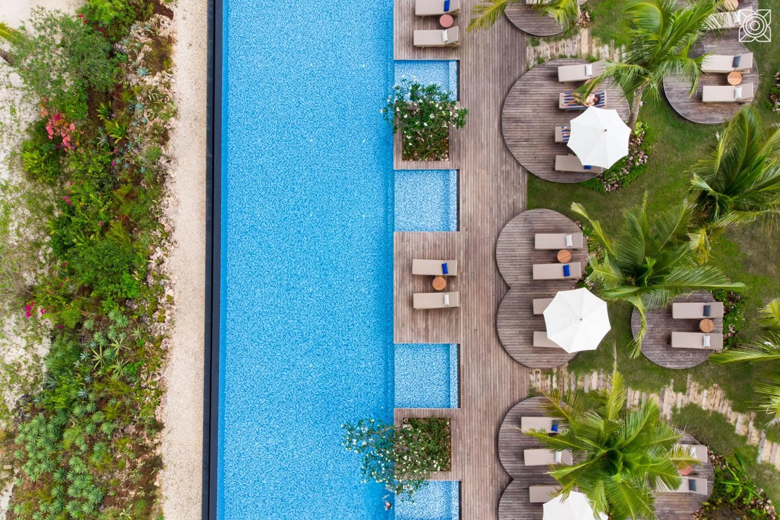 Bird's eye view in Zuri Zanzibar