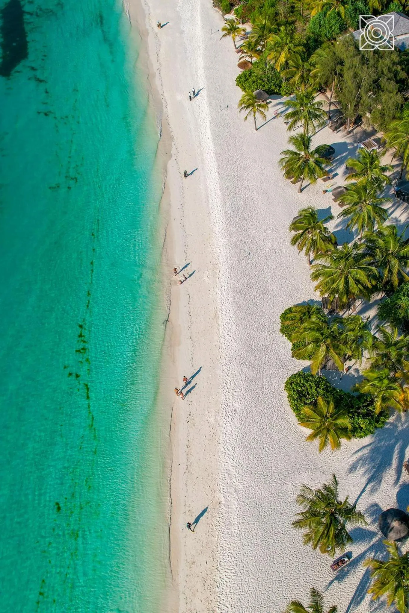 Natural landscape in Zuri Zanzibar