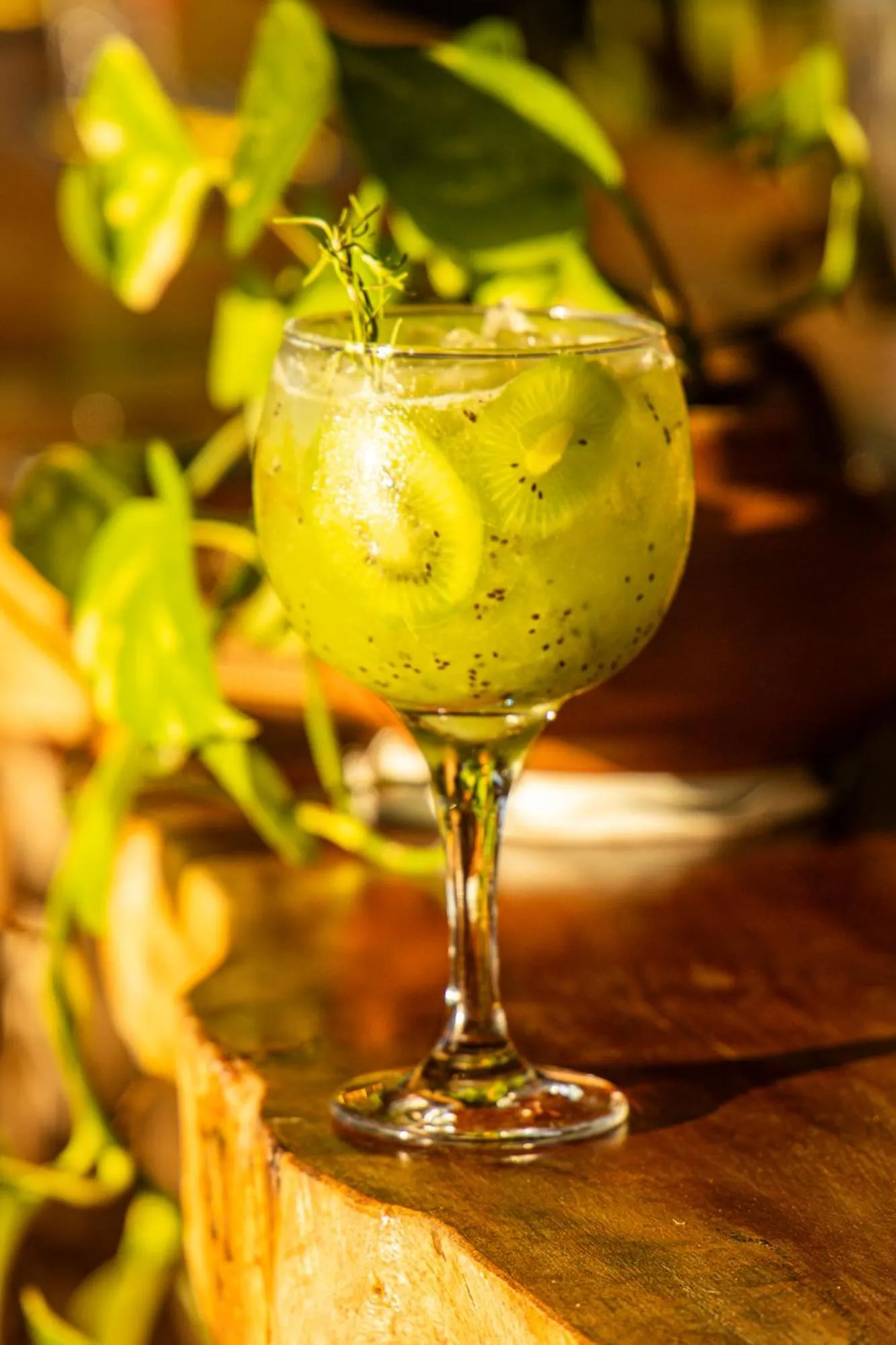 Drinks in Eco Luar Boutique Hotel