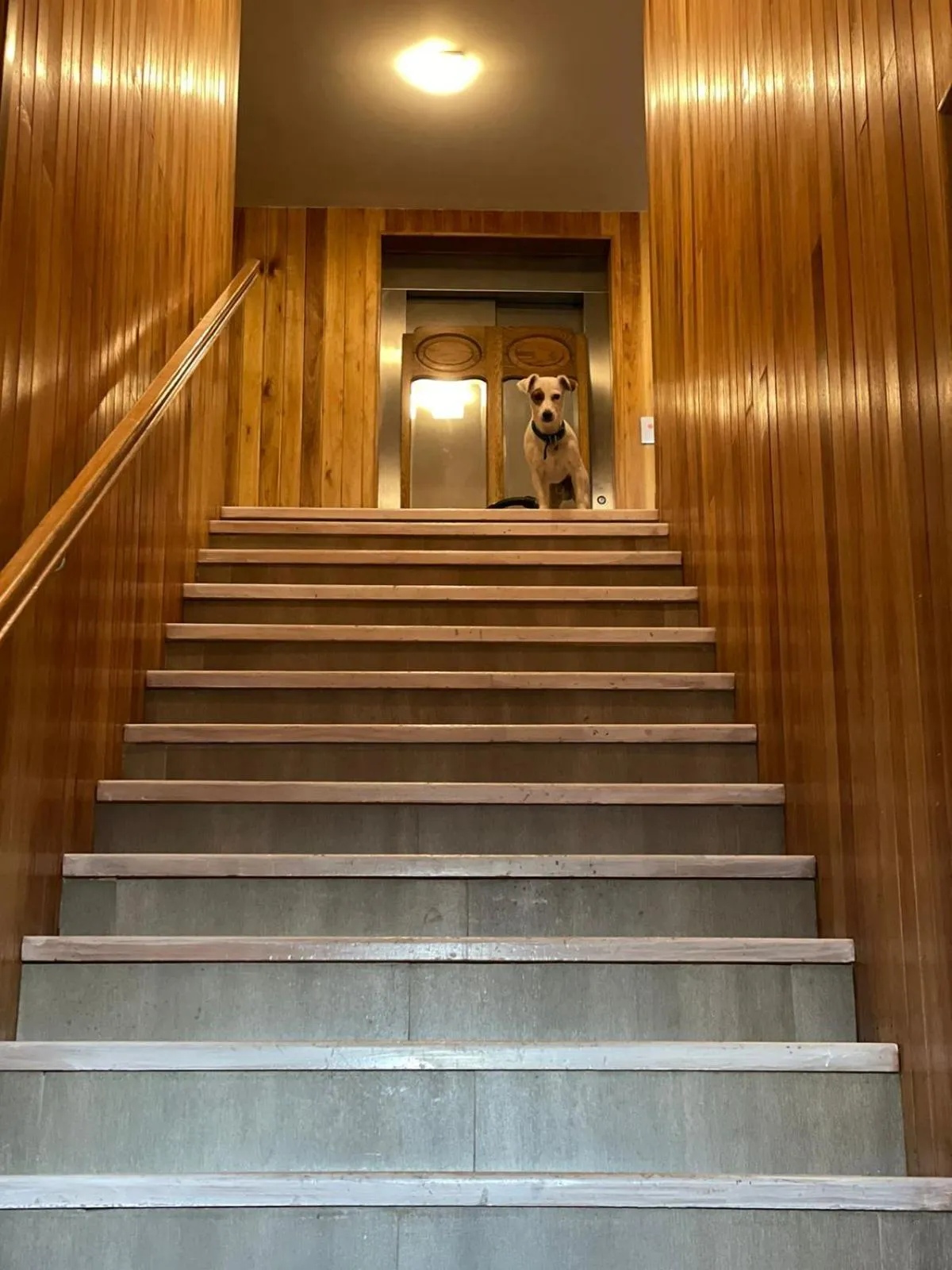 Las Bayas Home Suites