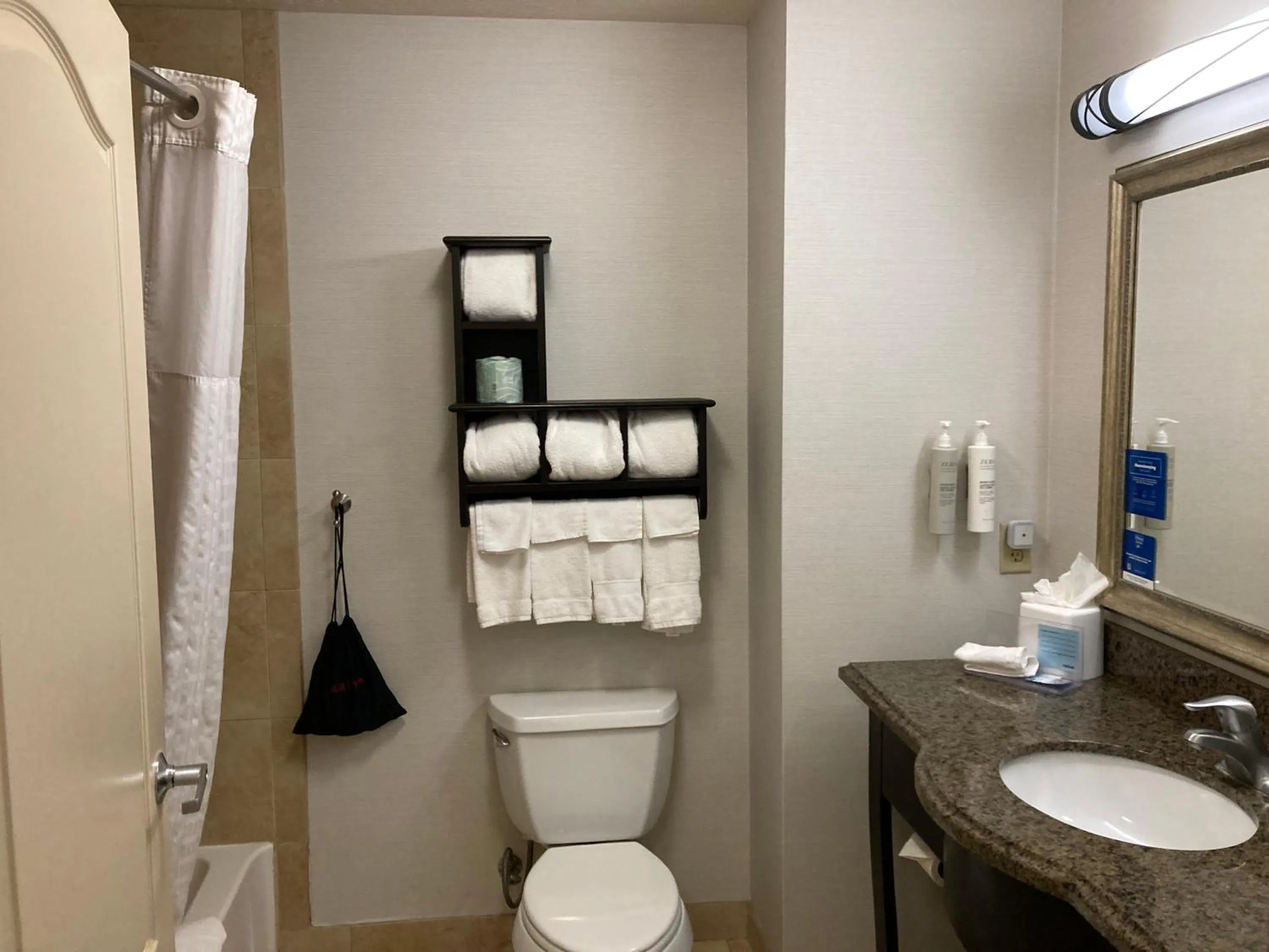 Bathroom in Hampton Inn & Suites Carlsbad